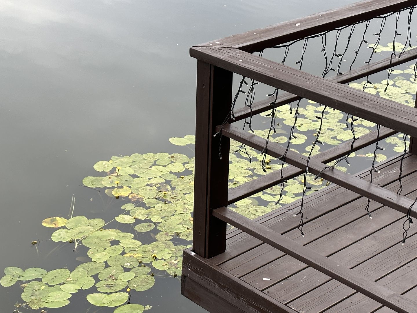 Одинцово, Парки Подмосковья, Отражение, Йога