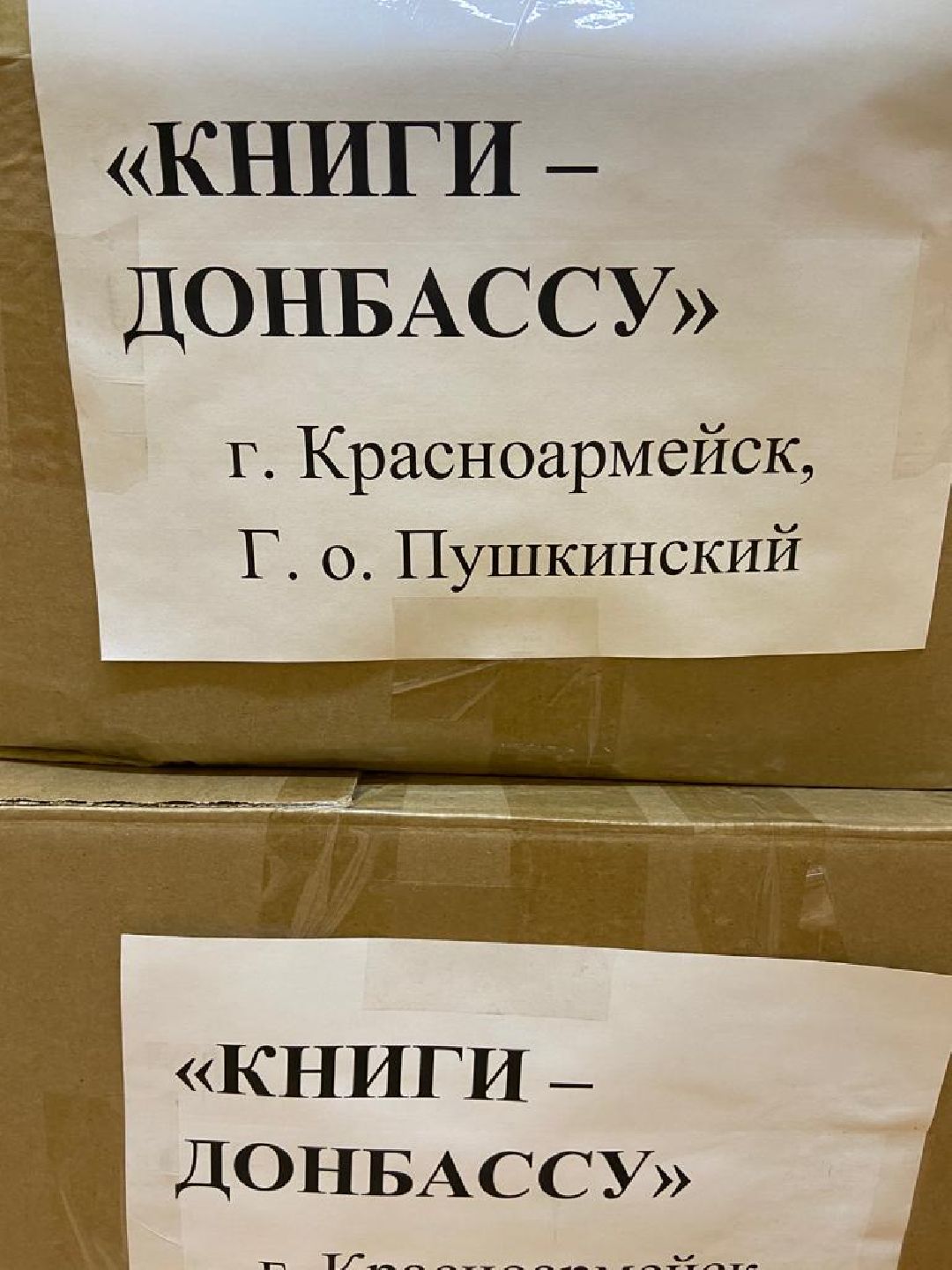 Красноармейск, книги для Донбасса, Минпросвещения, русская литература, общество