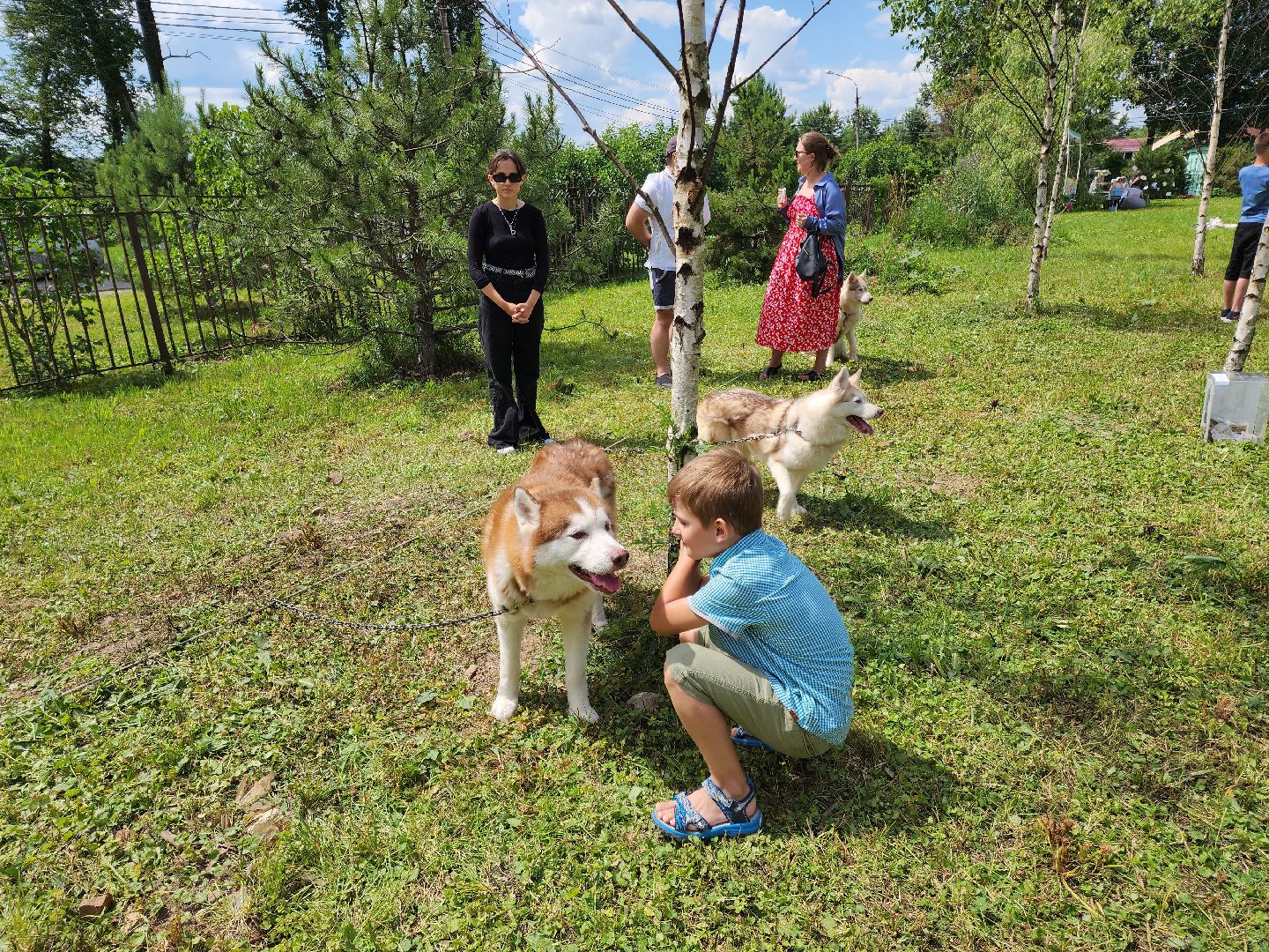 семья, подольск, праздник