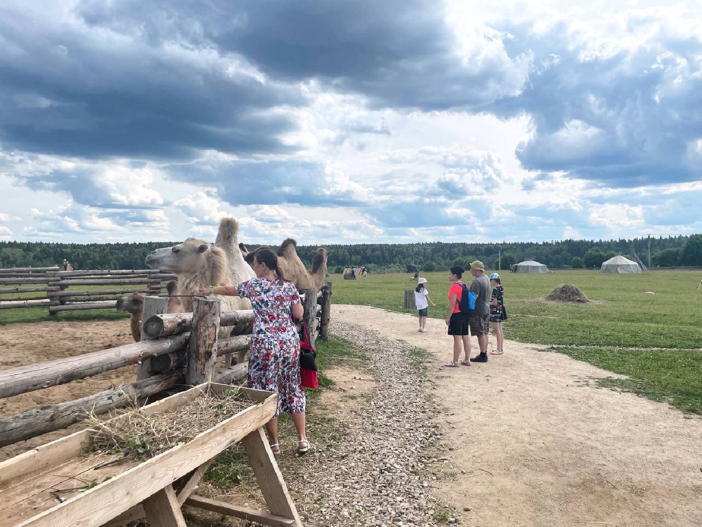 Сергиево-Посадский городской округ, Сергиев Посад, Хотьково, Фестиваль, Культура, История, Туризм