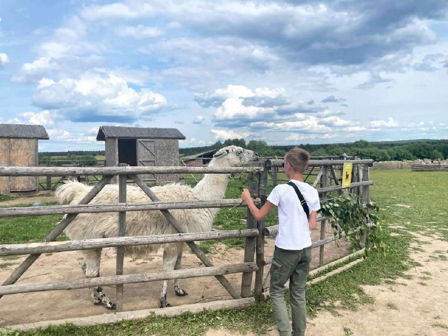 Сергиево-Посадский городской округ, Сергиев Посад, Хотьково, Фестиваль, Культура, История, Туризм