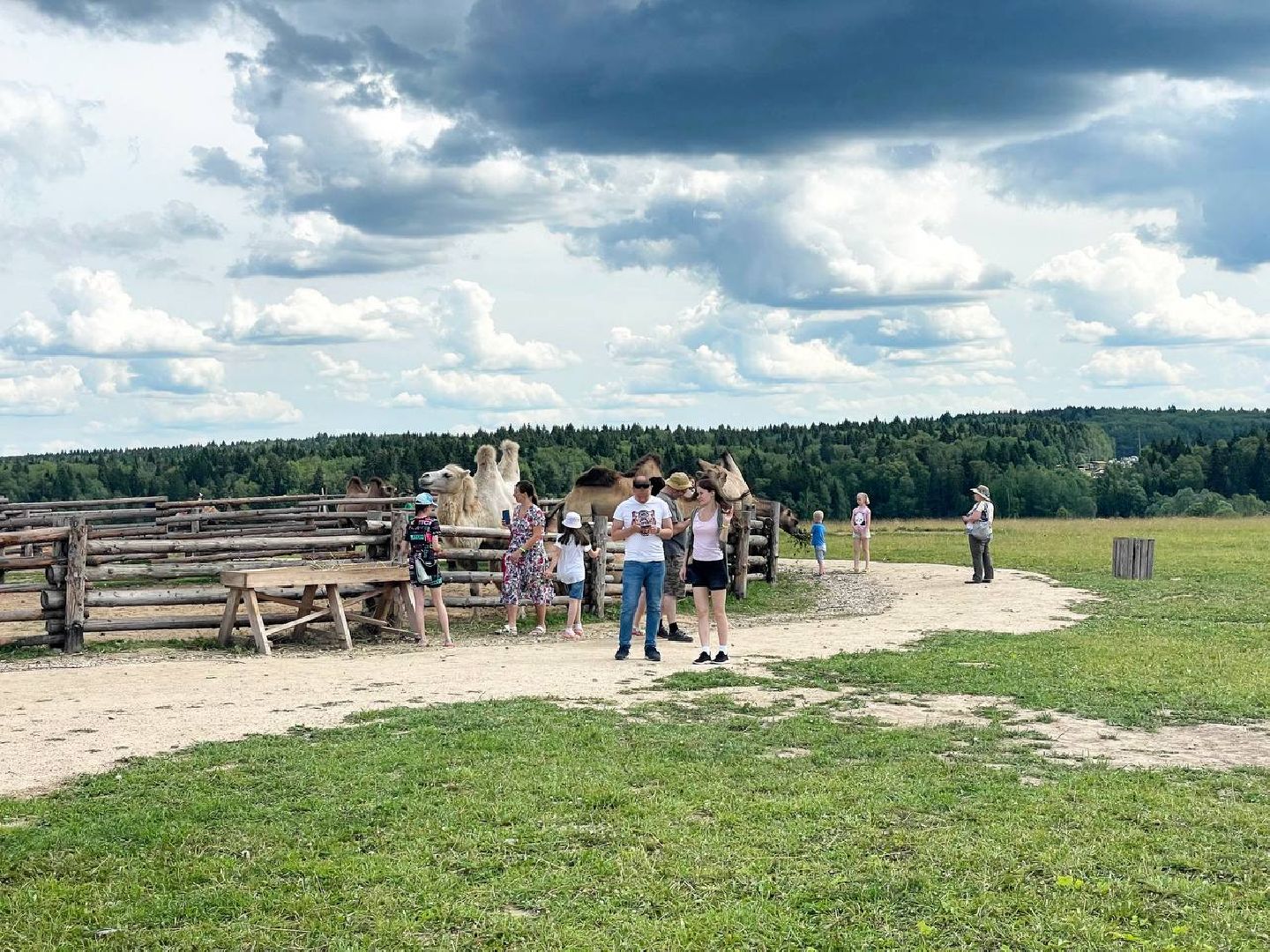 Сергиево-Посадский городской округ, Сергиев Посад, Хотьково, Фестиваль, Культура, История, Туризм