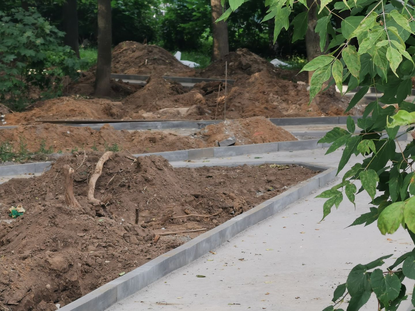 благоустройство, парки подмосковья, лето в подмосковье,