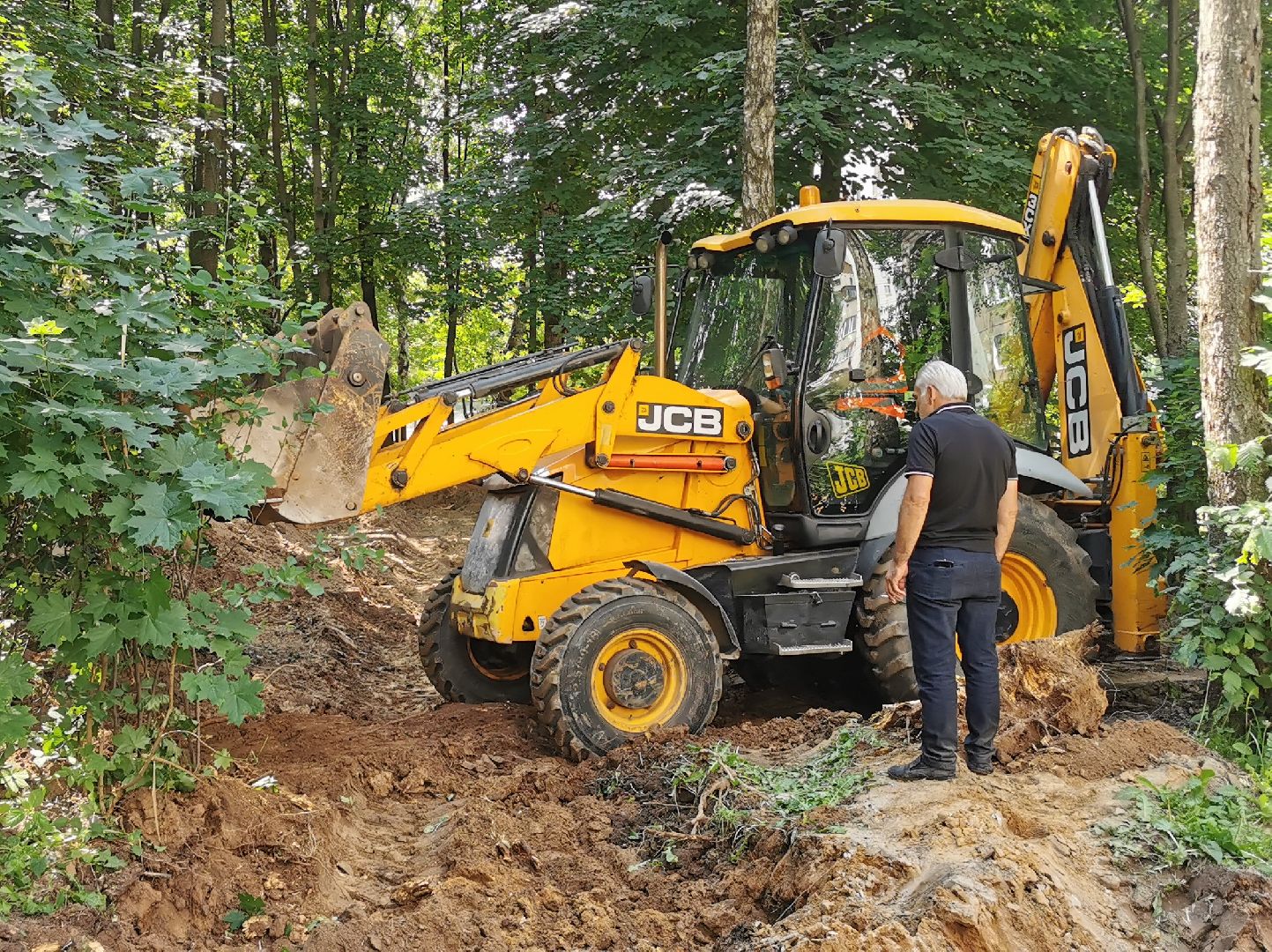благоустройство, парки подмосковья, лето в подмосковье,