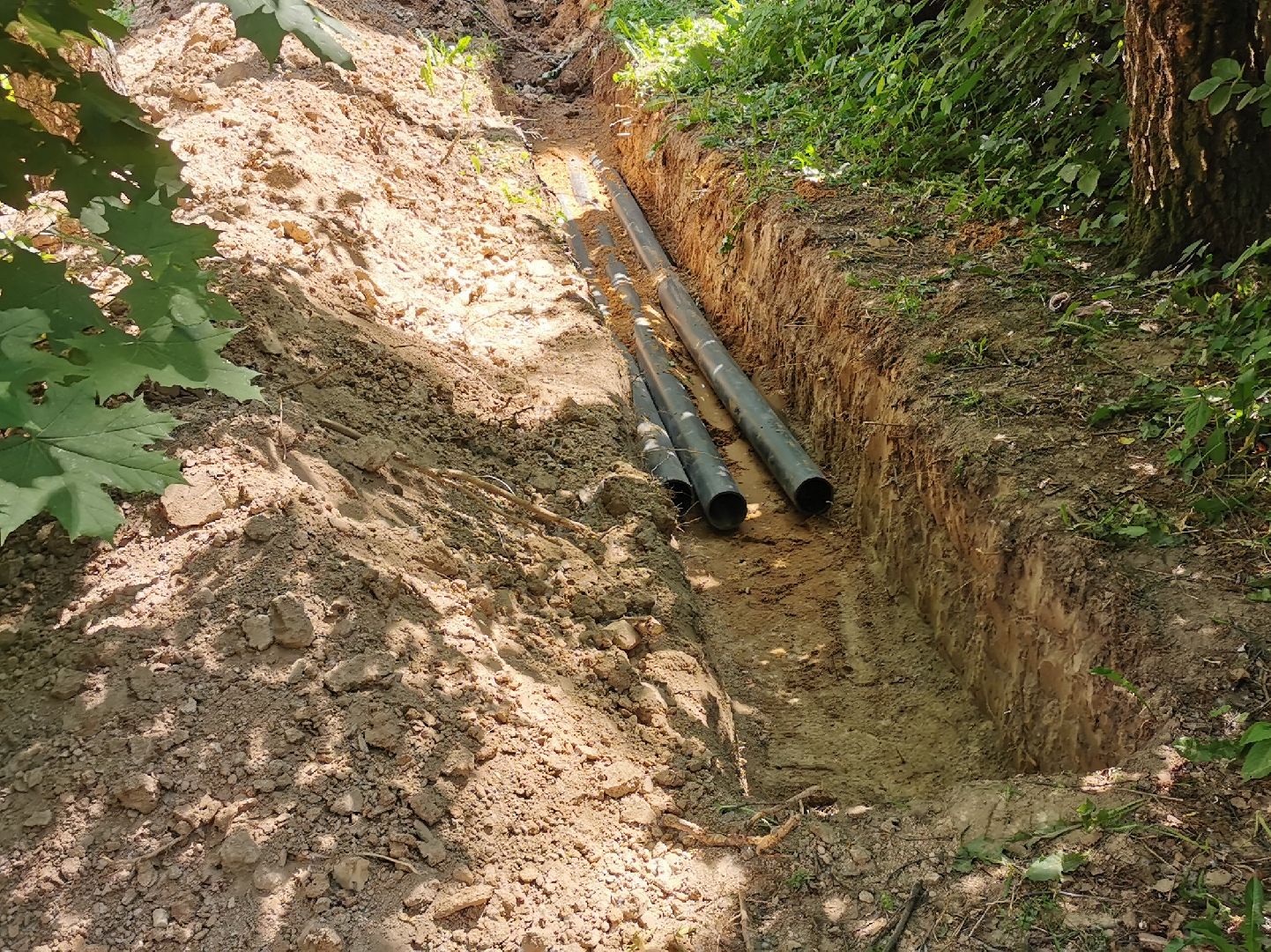 благоустройство, парки подмосковья, лето в подмосковье,