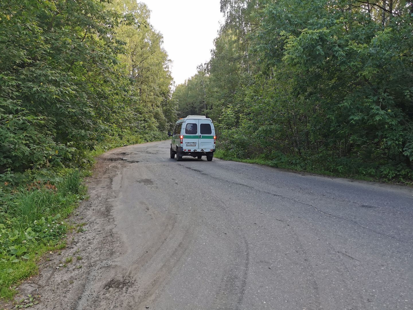 благоустройство, голосование, добродел,