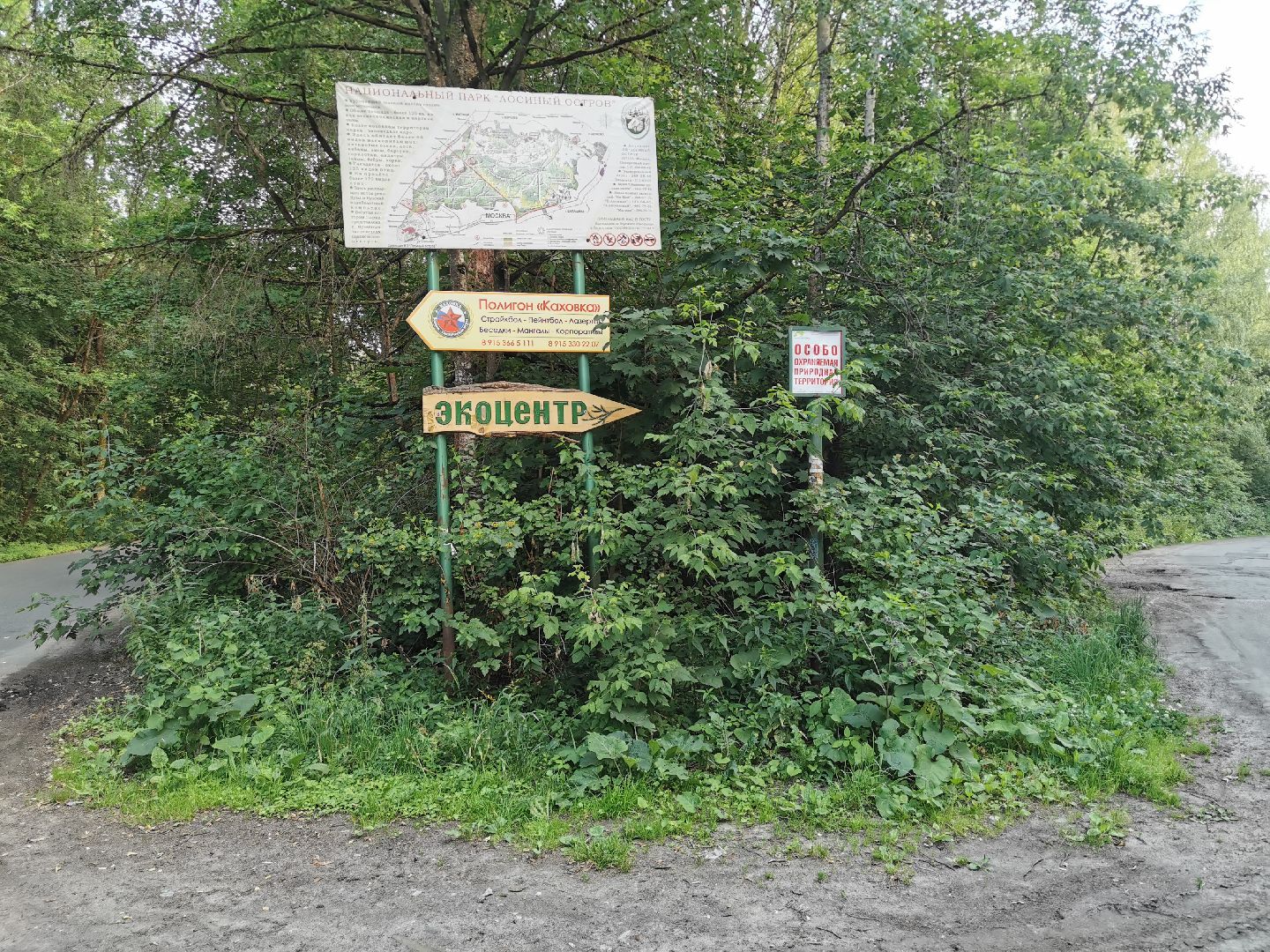 благоустройство, голосование, добродел,