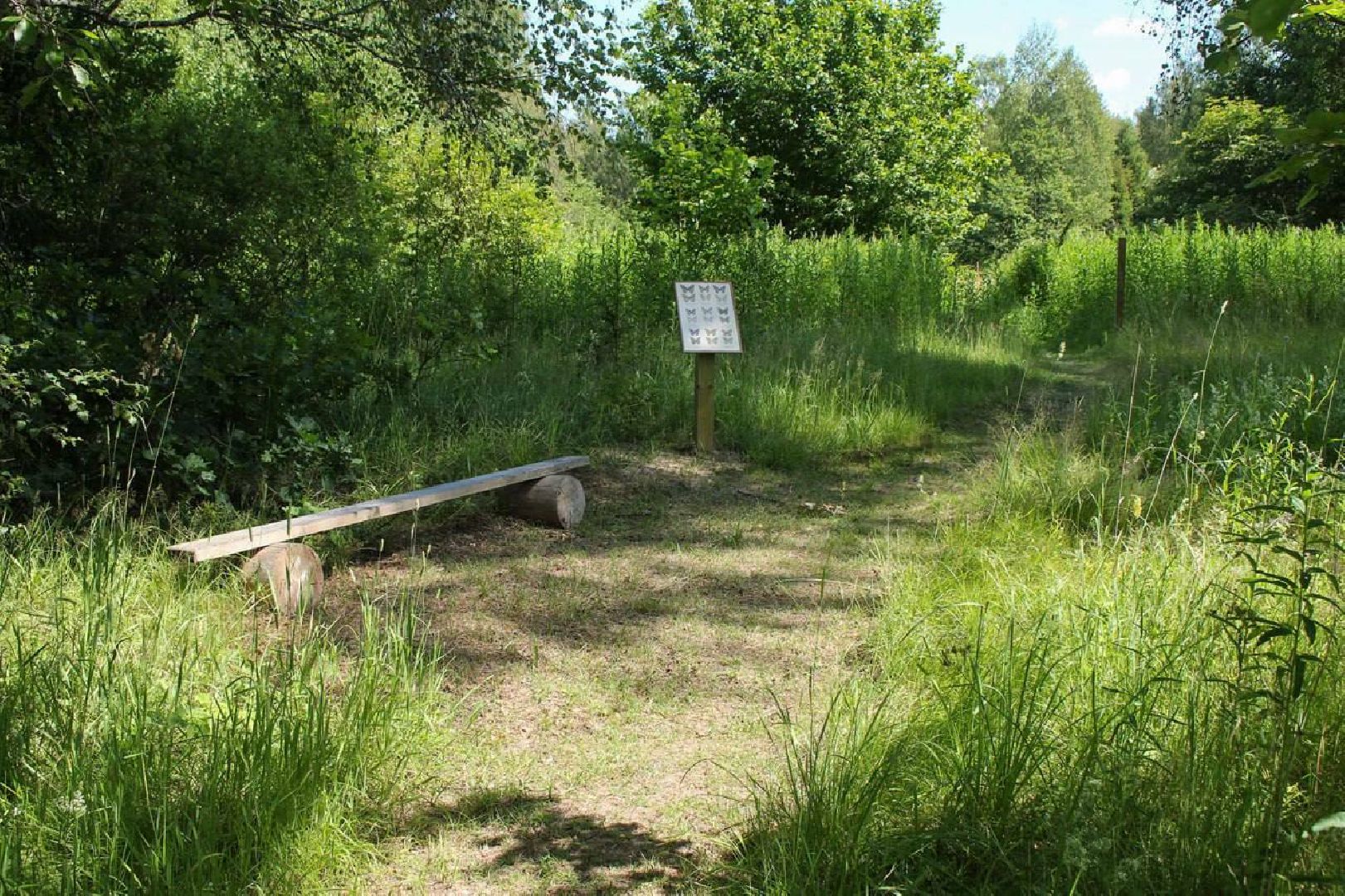 Солнечногорск, Шахматово, туризм, Блок, экотропа