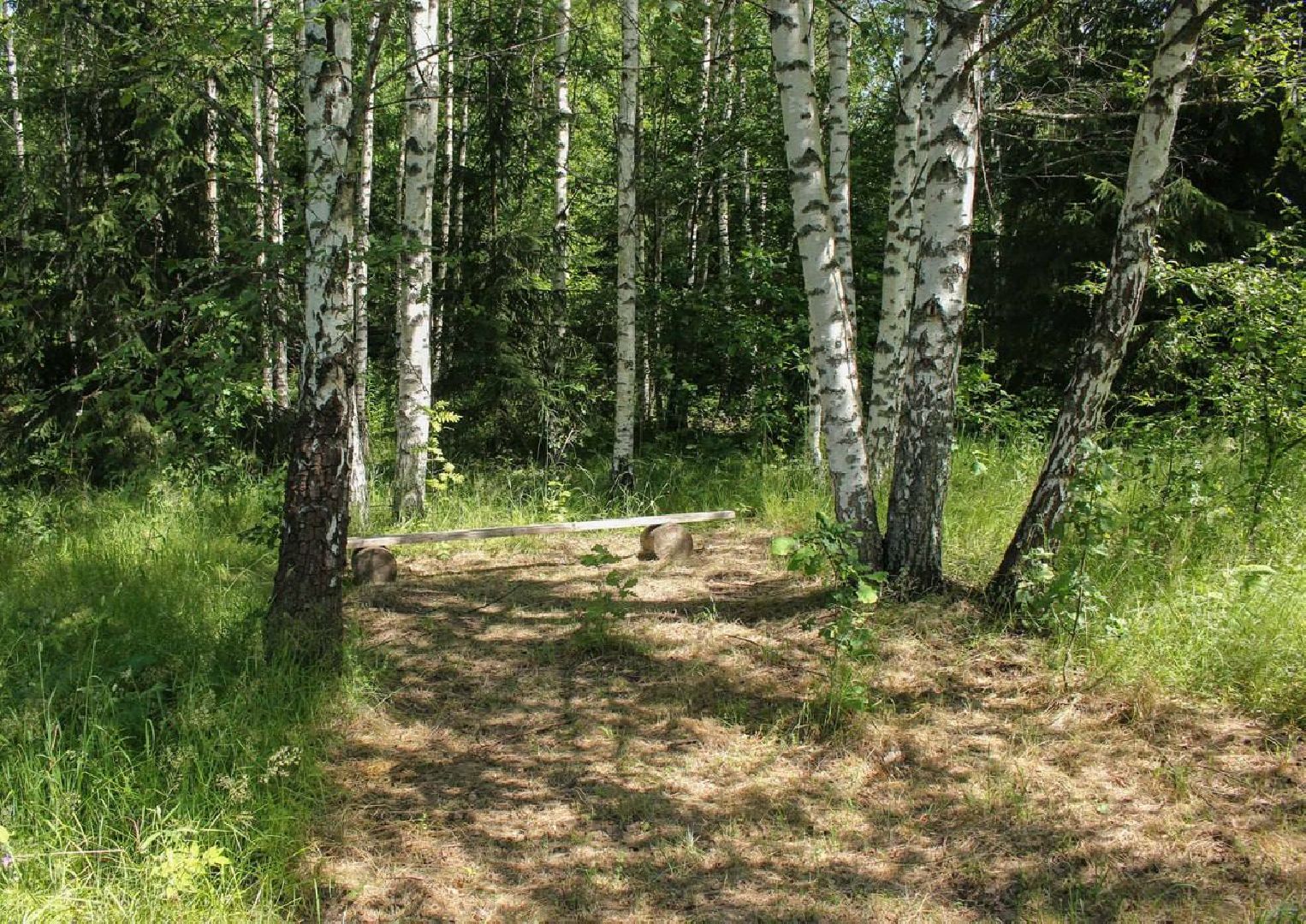 Солнечногорск, Шахматово, туризм, Блок, экотропа