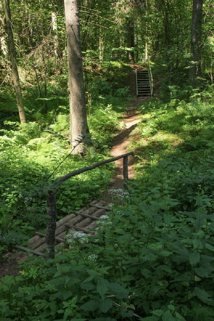 Солнечногорск, Шахматово, туризм, Блок, экотропа