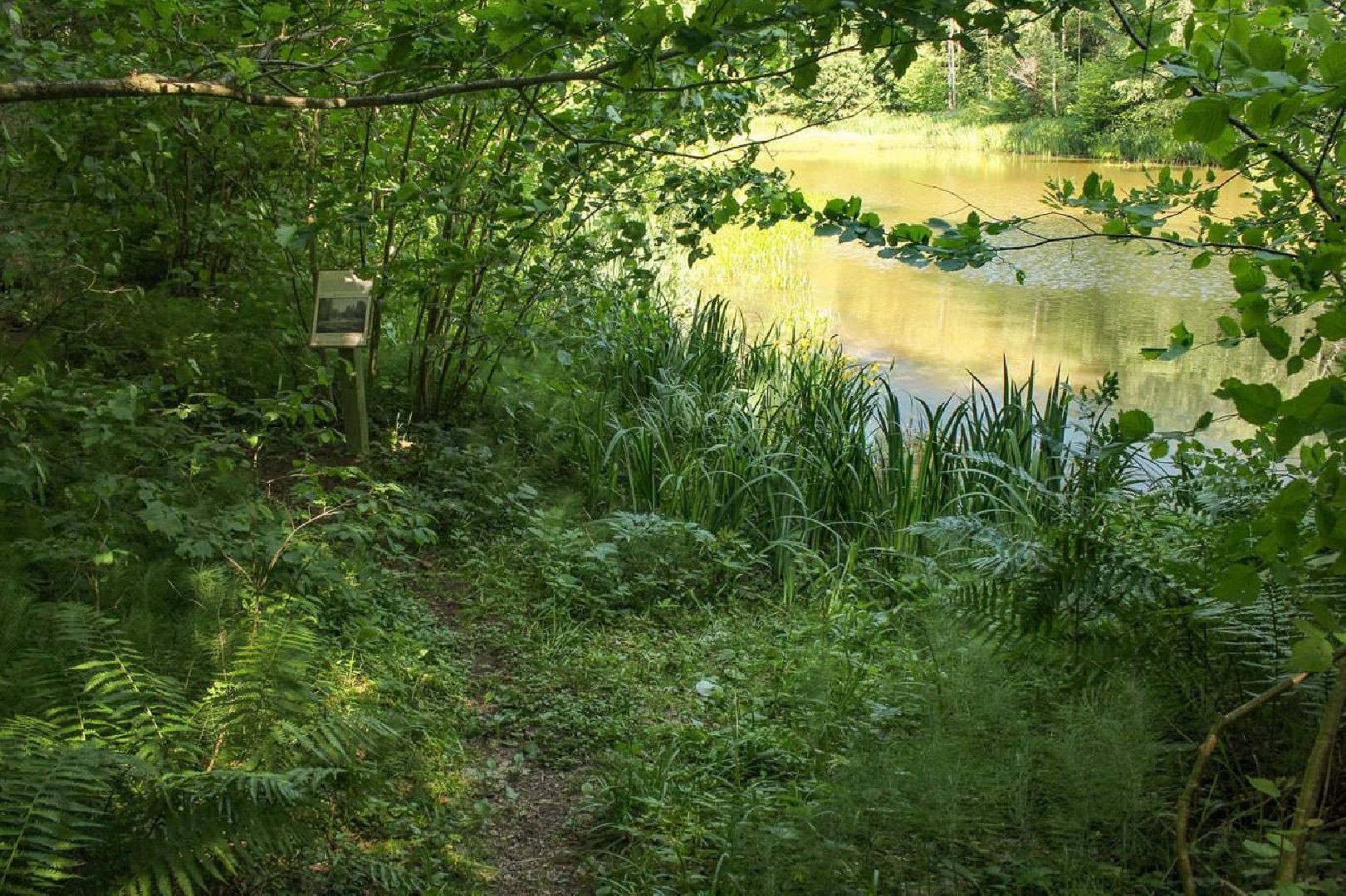 Солнечногорск, Шахматово, туризм, Блок, экотропа