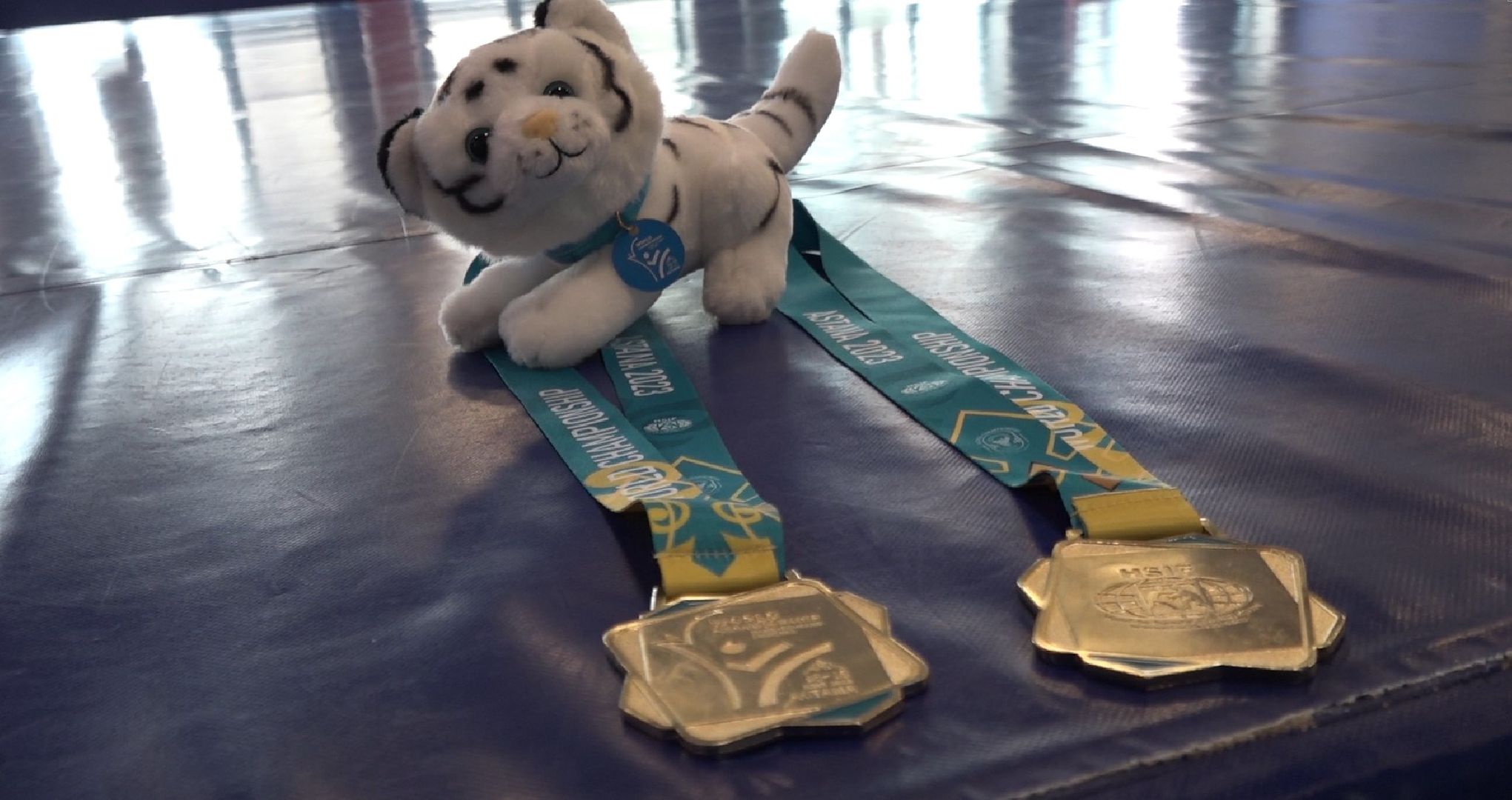 Чемпионат мира, Домодедово