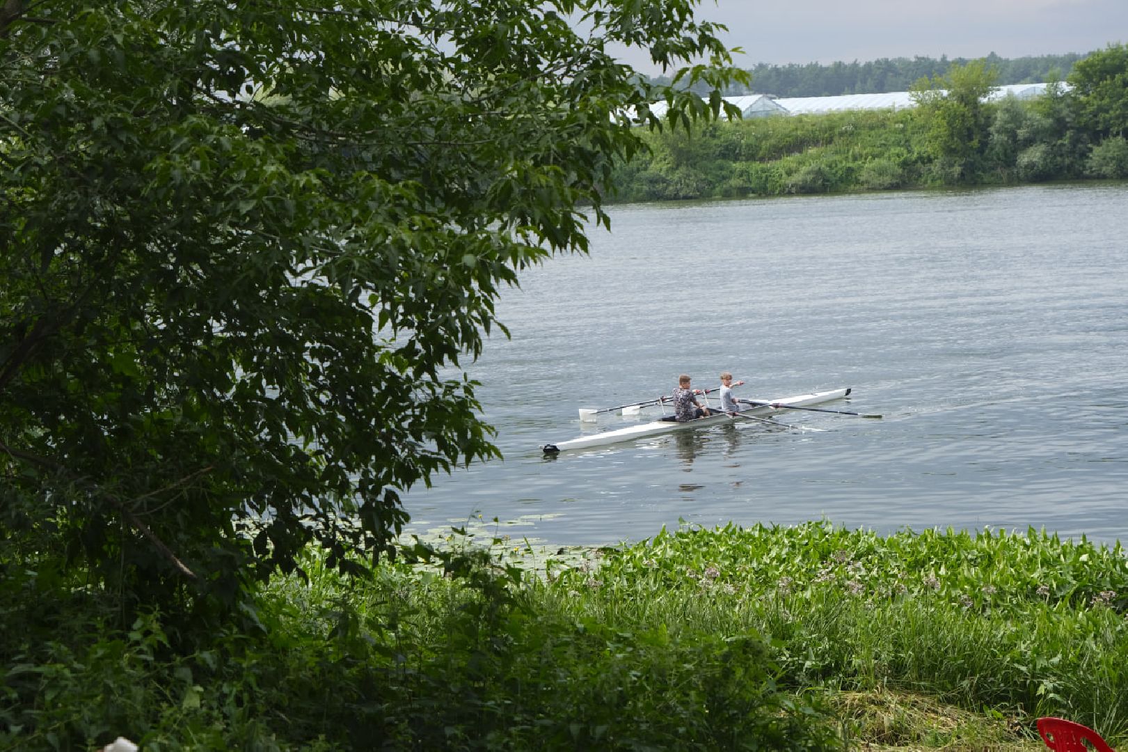 Пущино, спорт, гребля