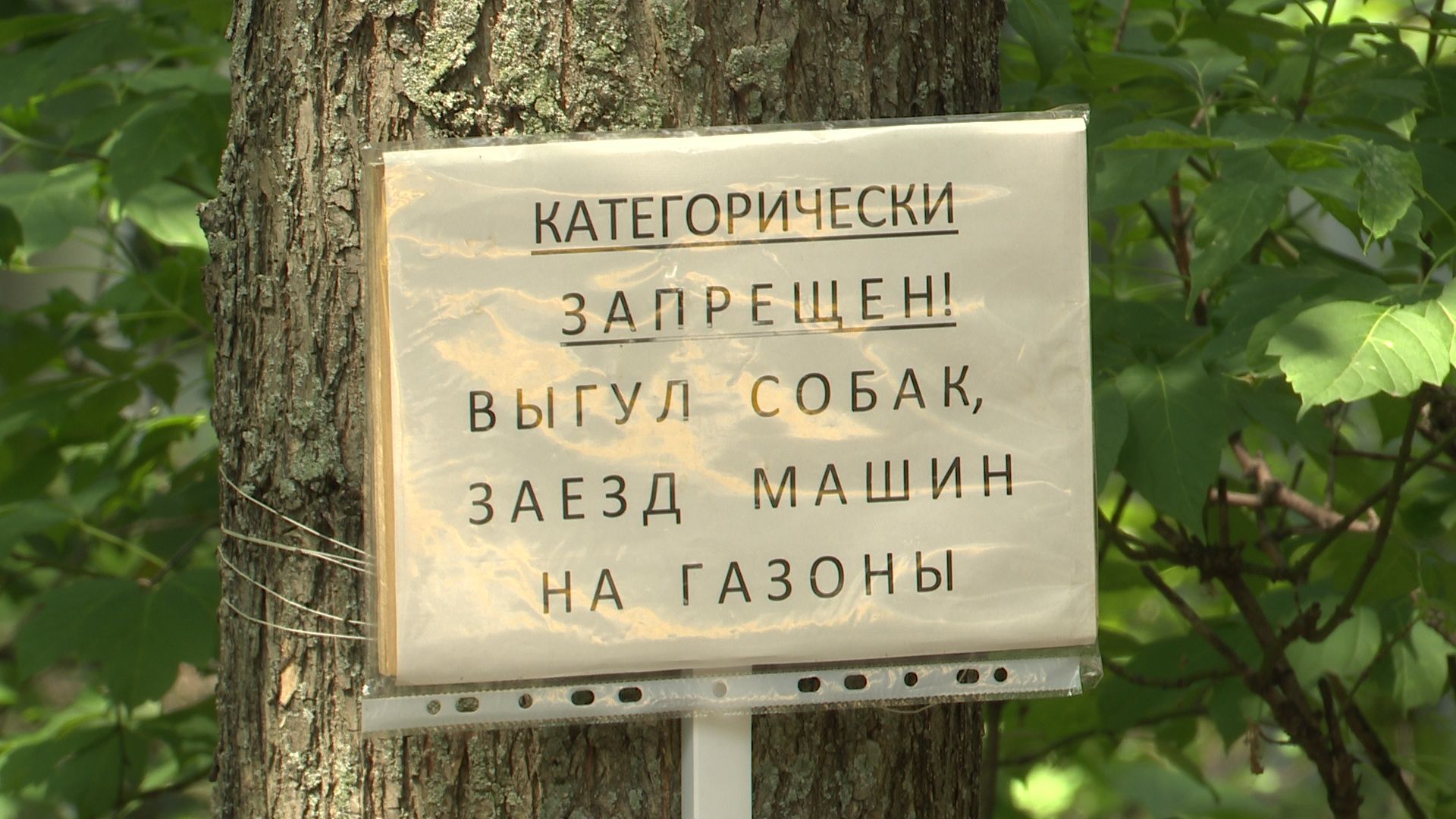 Реутов, новый асфальт, благоустройство, детская площадка