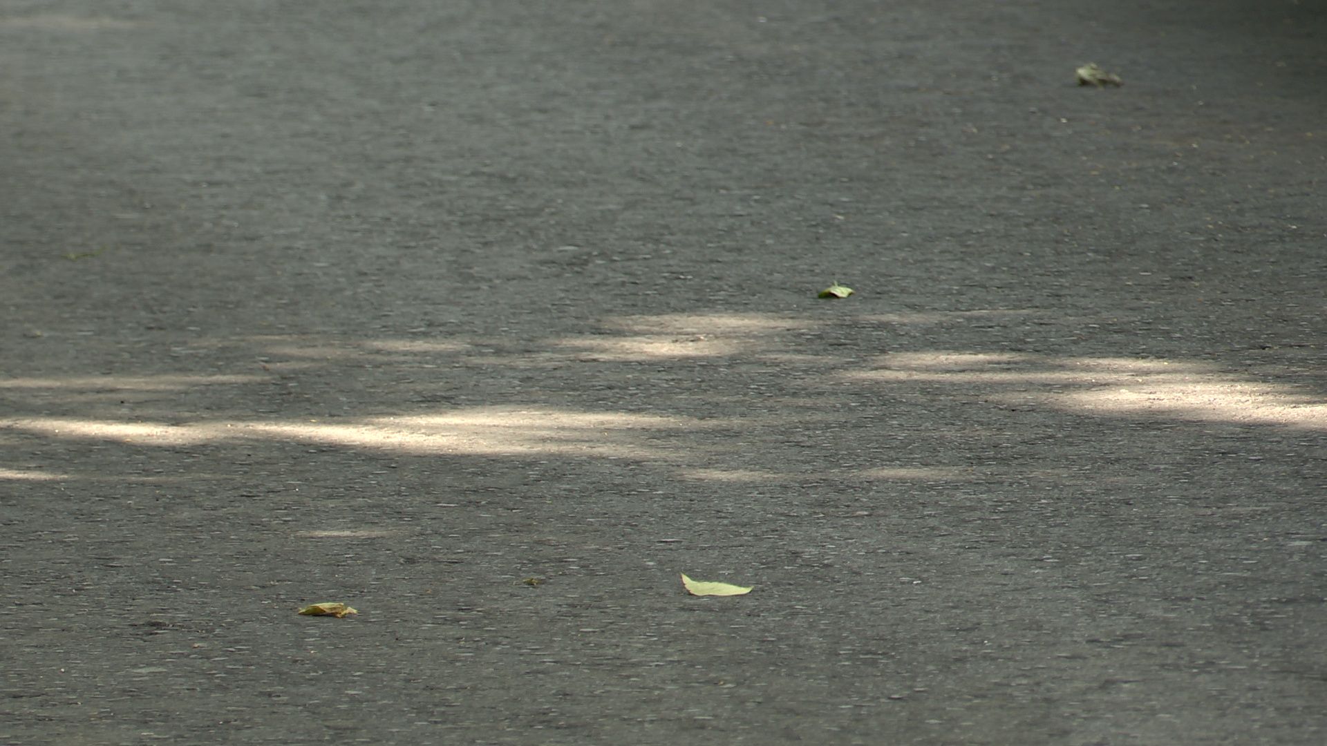 Реутов, новый асфальт, благоустройство, детская площадка