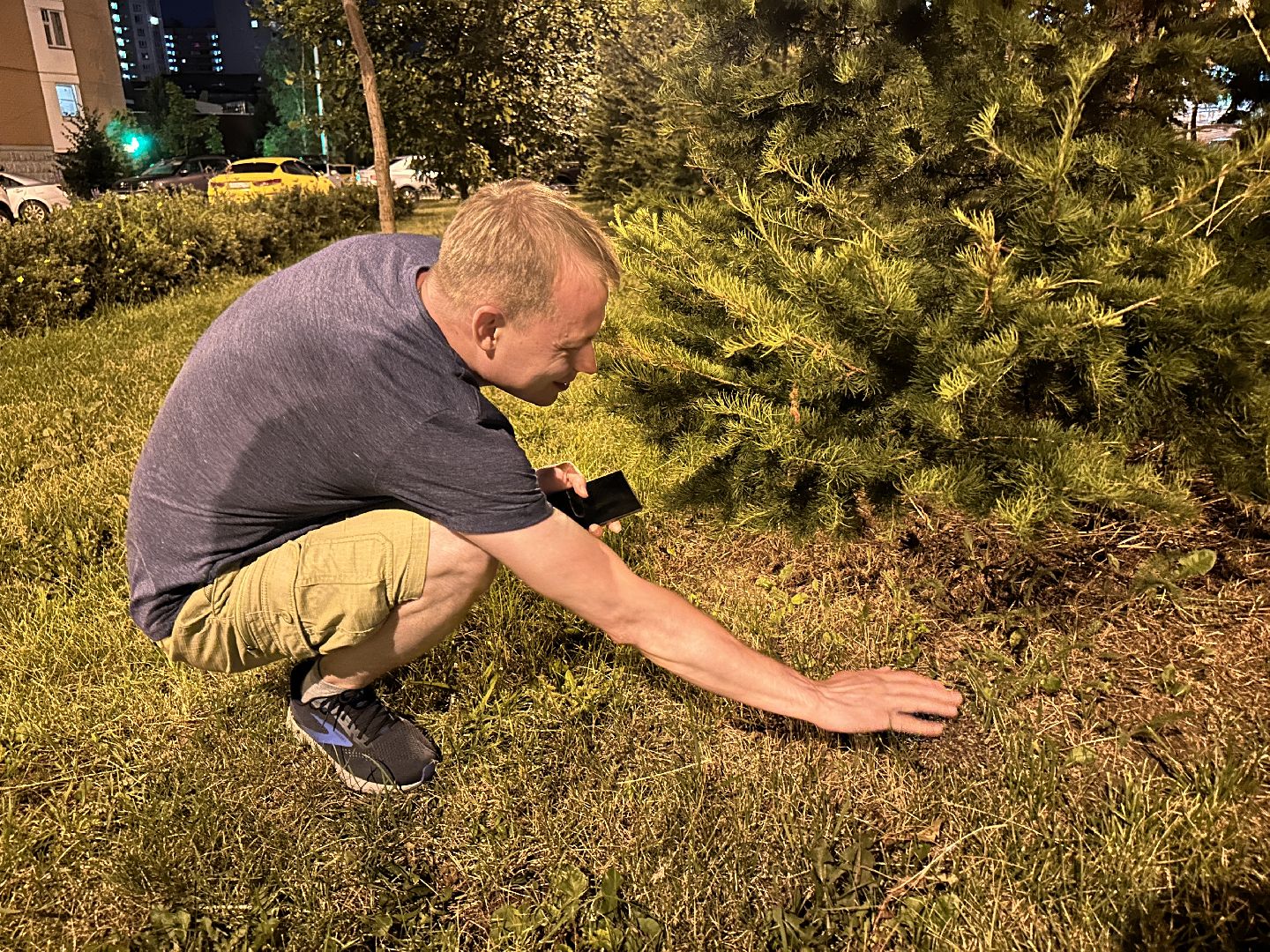 Одинцово, Окружающий мир, Экология, ёж семья ежей