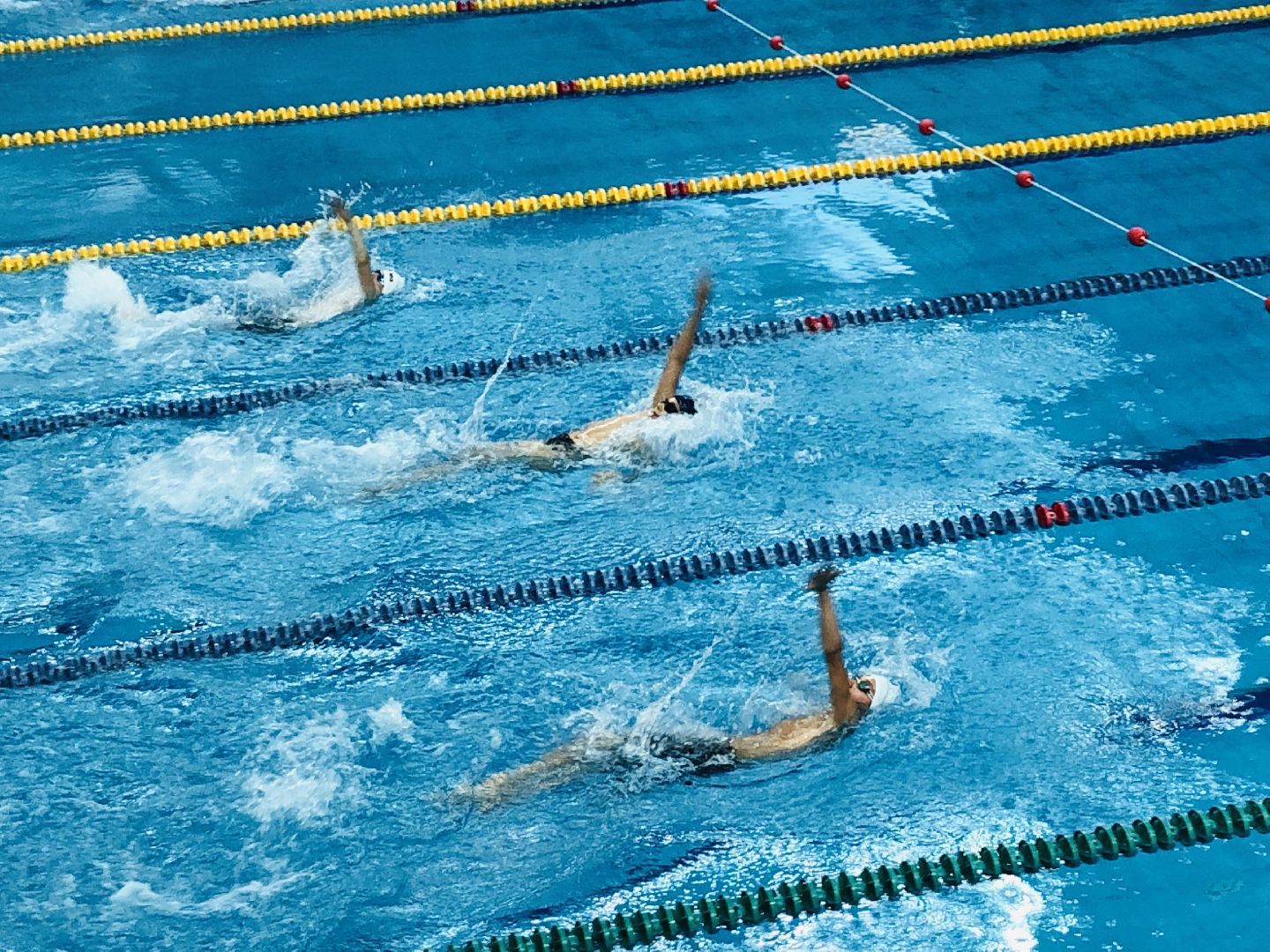 спорт, плавание, Руза, дети