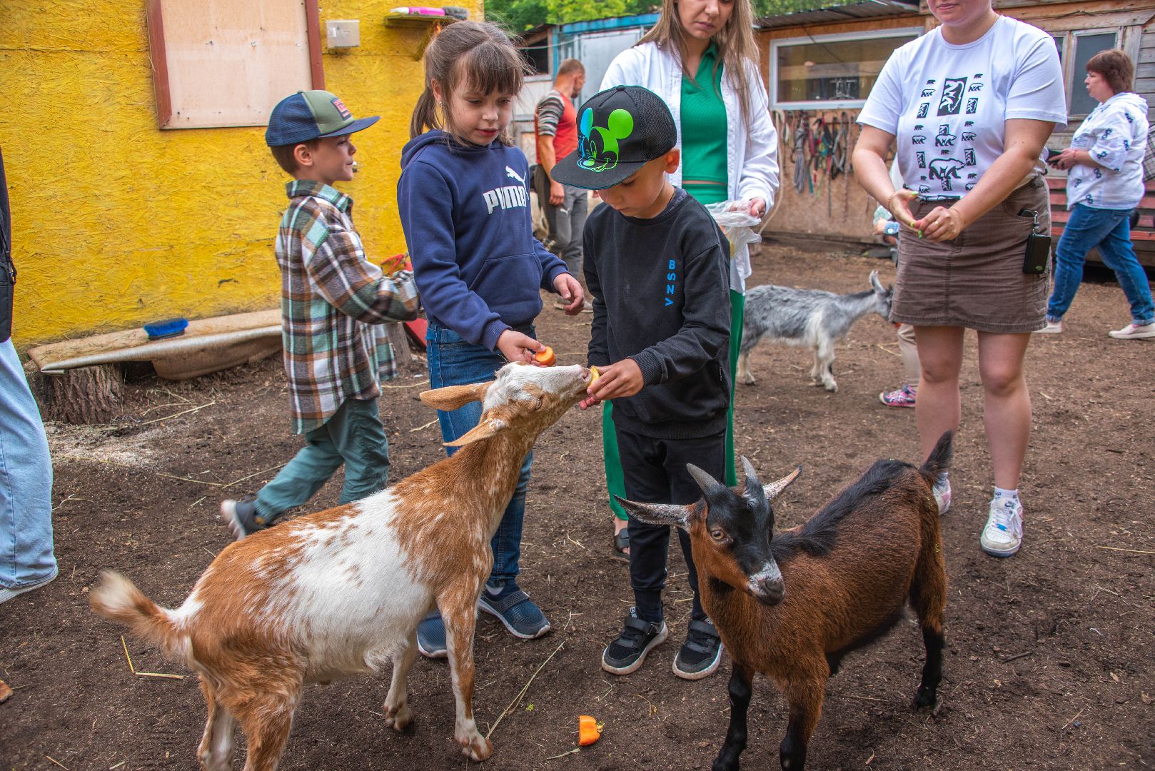Vерность. Любовь. Zабота, СвоихНеБросаем, СемьиМобилизованных, СВО, КонныйКлубПелагея .лошади, кони, прогулка, прогулка верхом