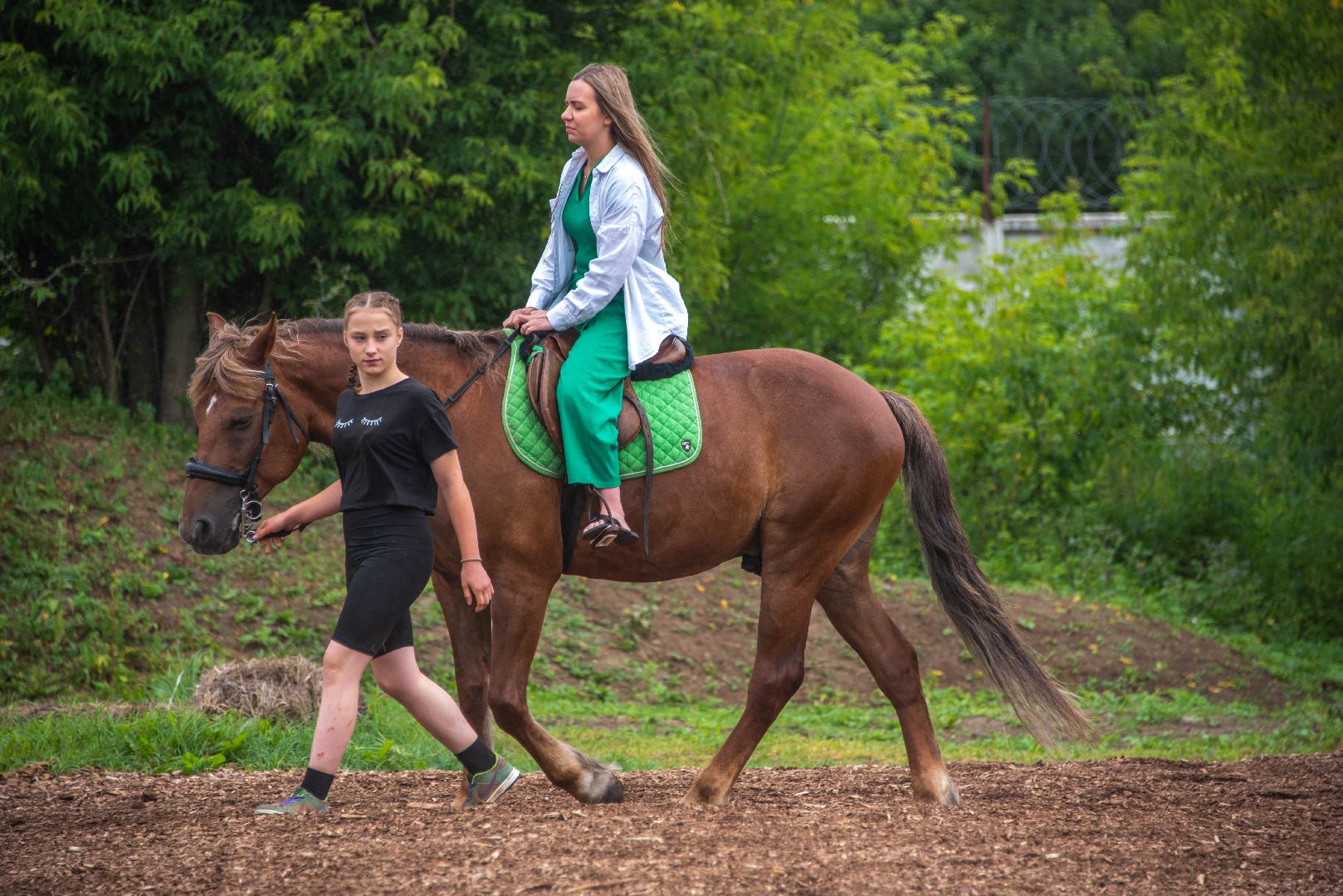 Vерность. Любовь. Zабота, СвоихНеБросаем, СемьиМобилизованных, СВО, КонныйКлубПелагея .лошади, кони, прогулка, прогулка верхом