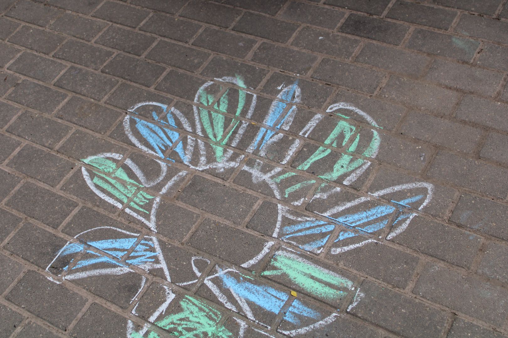 Парки,творчество,культура,дети, ромашка, цветы, лето в подмосковье,