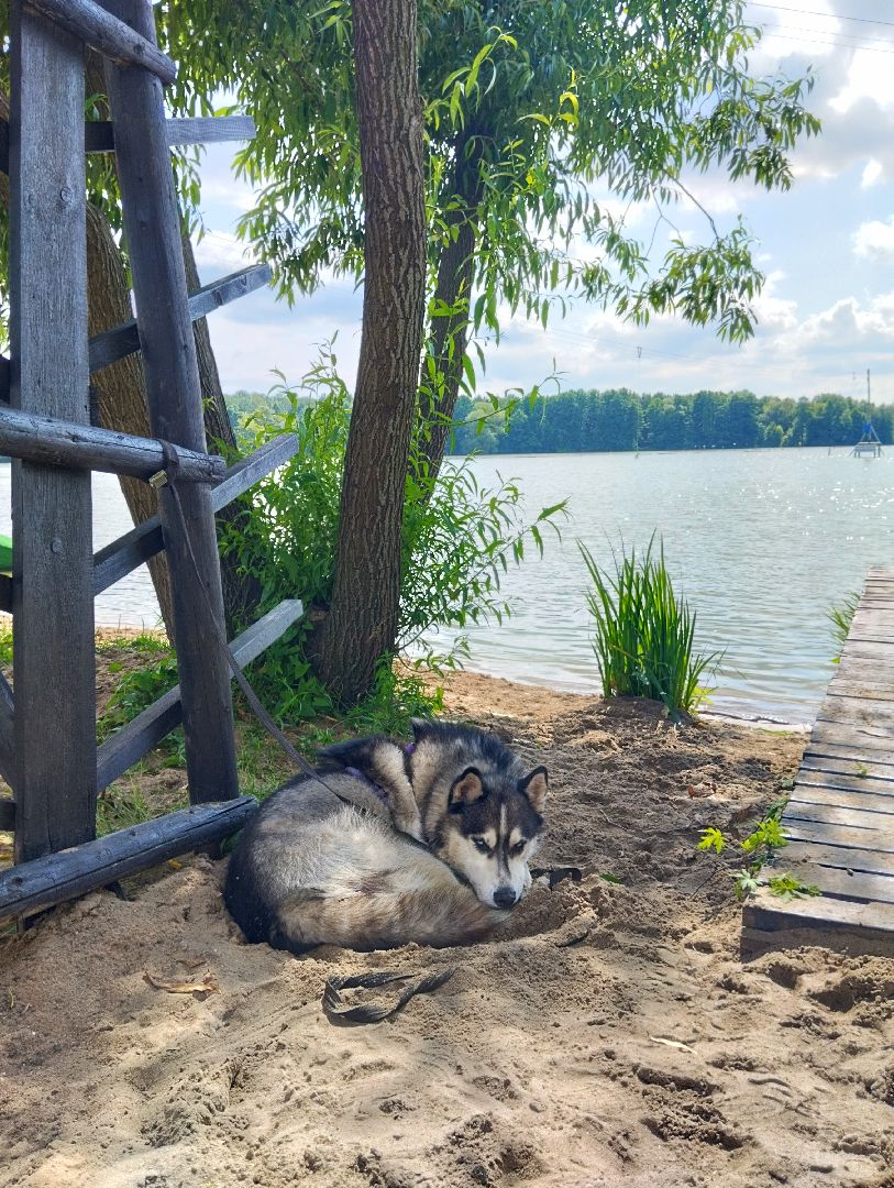 Отдых, водные виды спорта, вейк-станция, Старая Купавна, Богородский городской округ