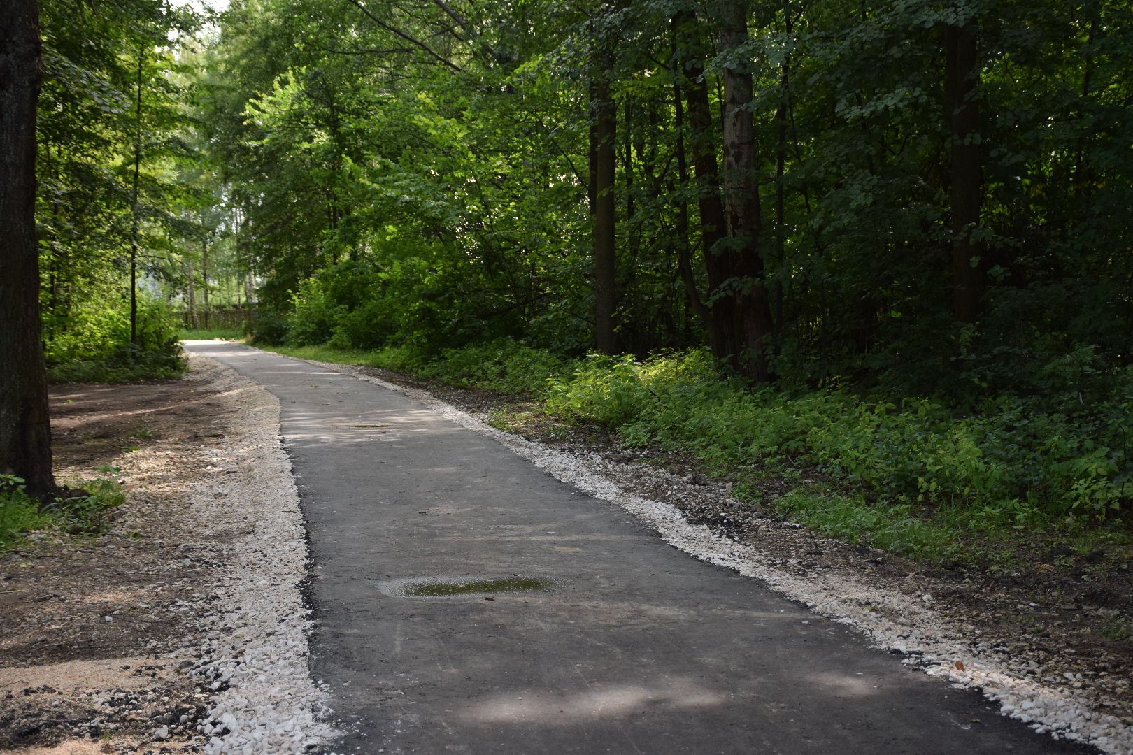 Павловский Посад, городской округ Павловский Посад, Назарьево, станция, тротуар, асфальт, благоустройство