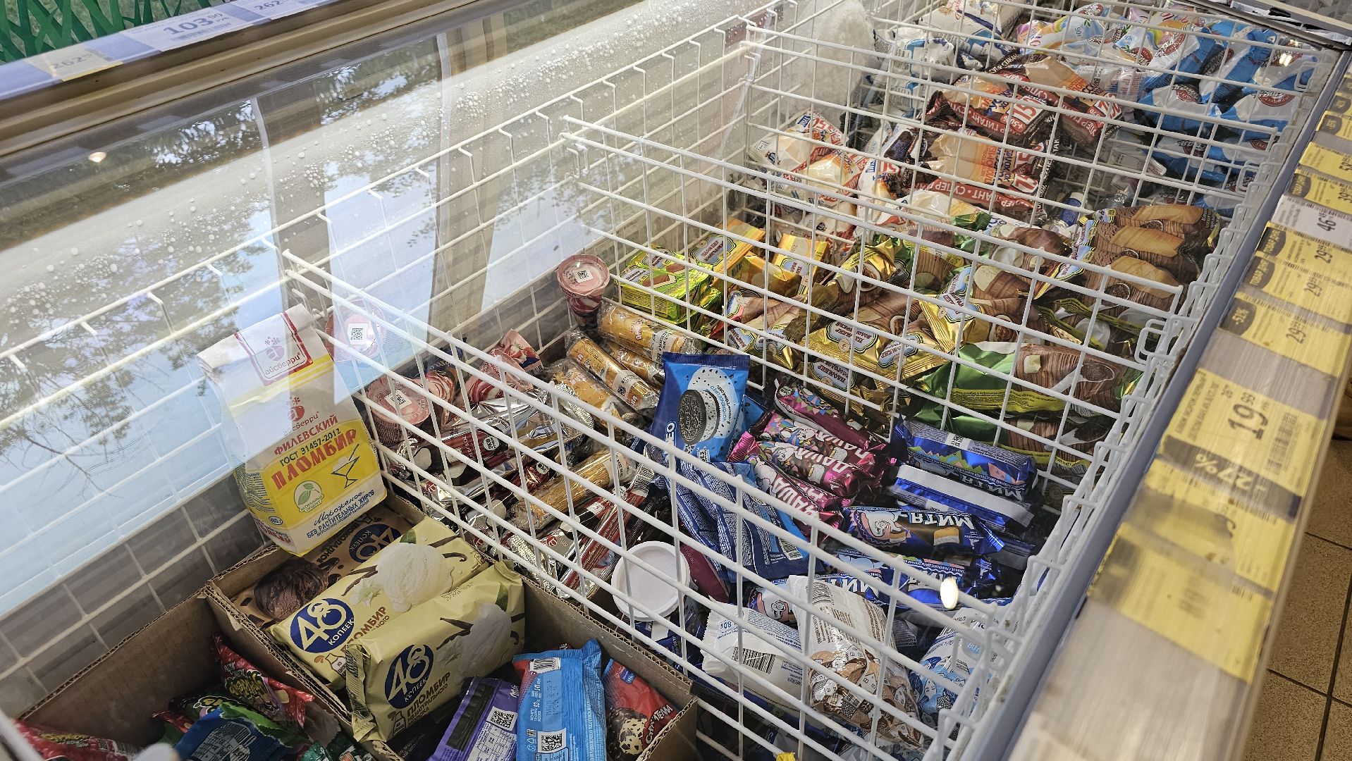 педиатрия, гигиена, кишечные инфекции, Котельники