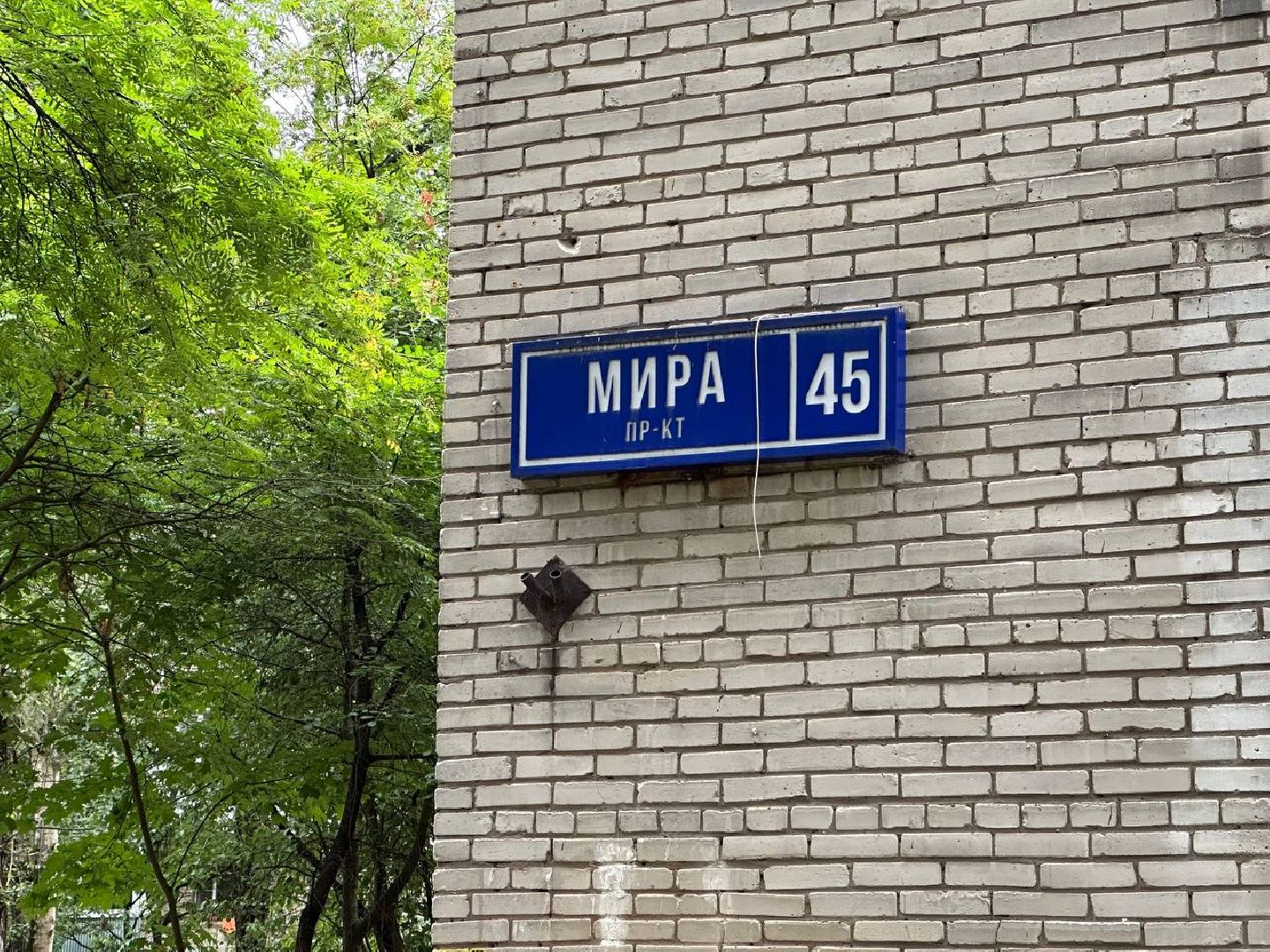 Реутов, народные тропы, тропинки, Пешком, программа