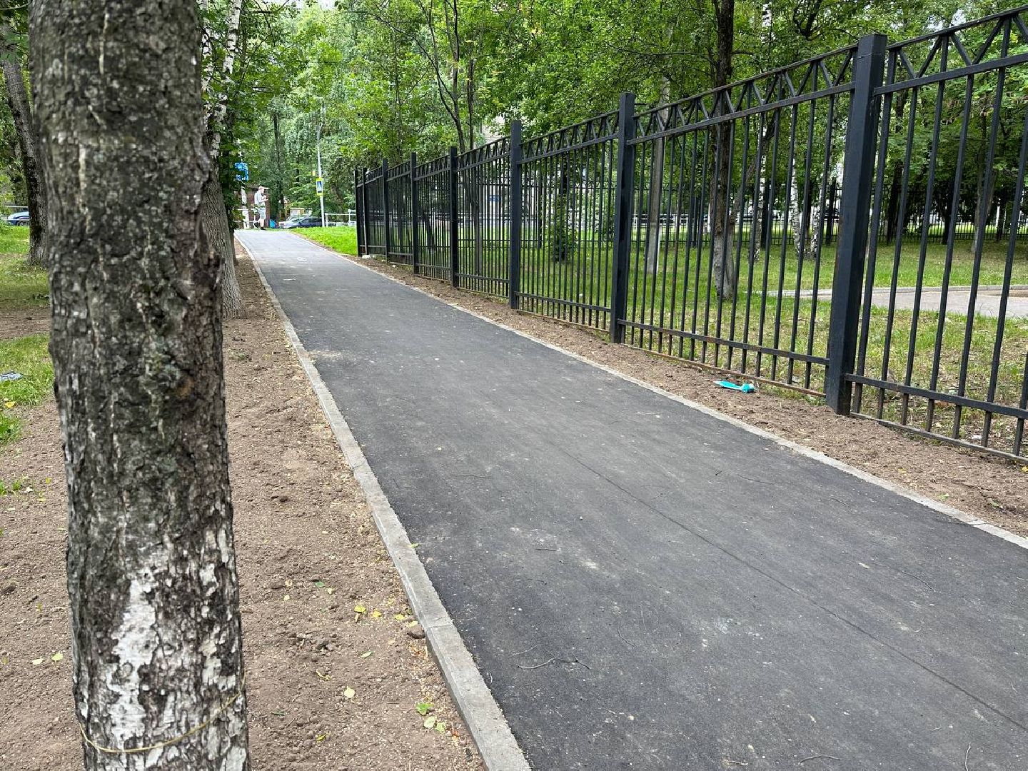 Реутов, народные тропы, тропинки, Пешком, программа