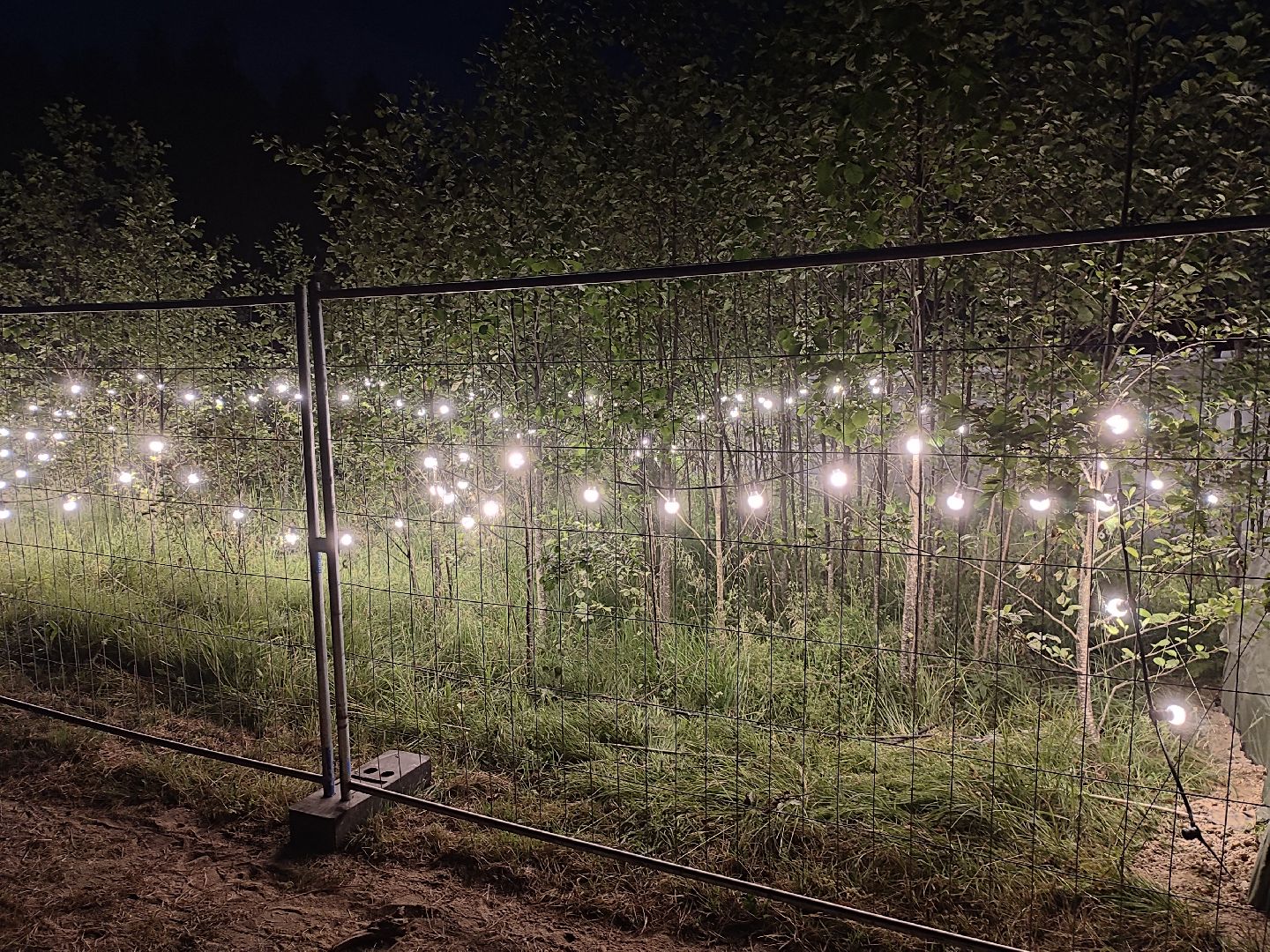 #outline, #талдомский округ, #фестиваль, #электроннаямузыка, #openair