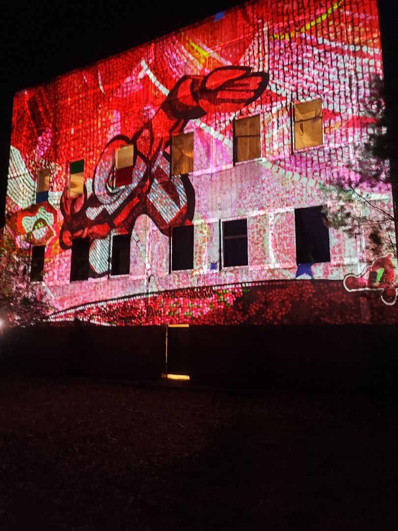 #outline, #талдомский округ, #фестиваль, #электроннаямузыка, #openair