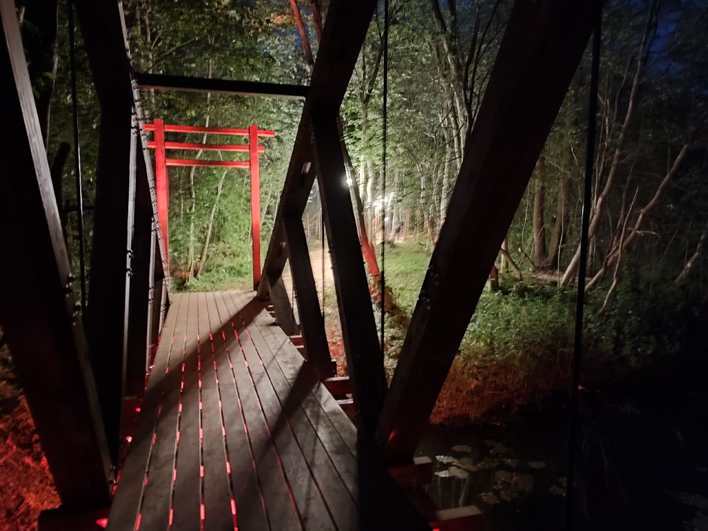 #outline, #талдомский округ, #фестиваль, #электроннаямузыка, #openair