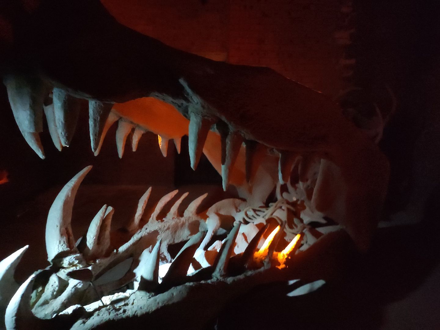 #outline, #талдомский округ, #фестиваль, #электроннаямузыка, #openair