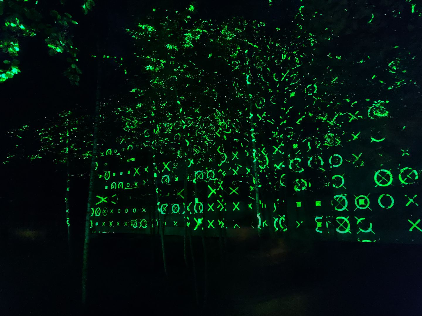 #outline, #талдомский округ, #фестиваль, #электроннаямузыка, #openair