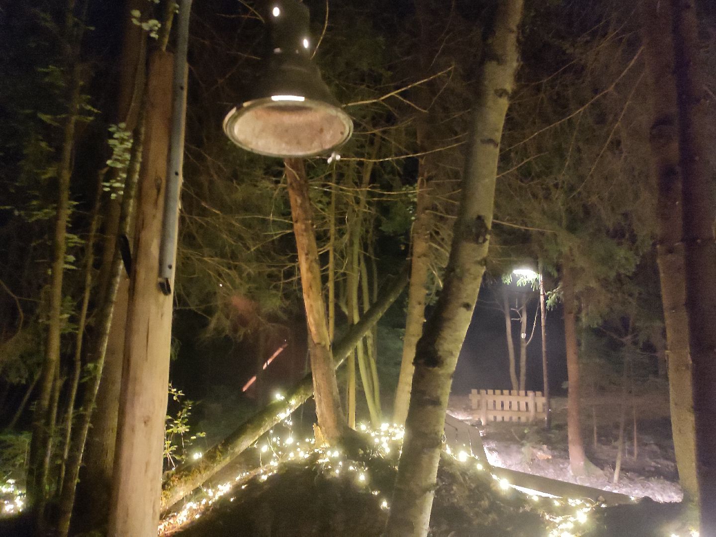 #outline, #талдомский округ, #фестиваль, #электроннаямузыка, #openair