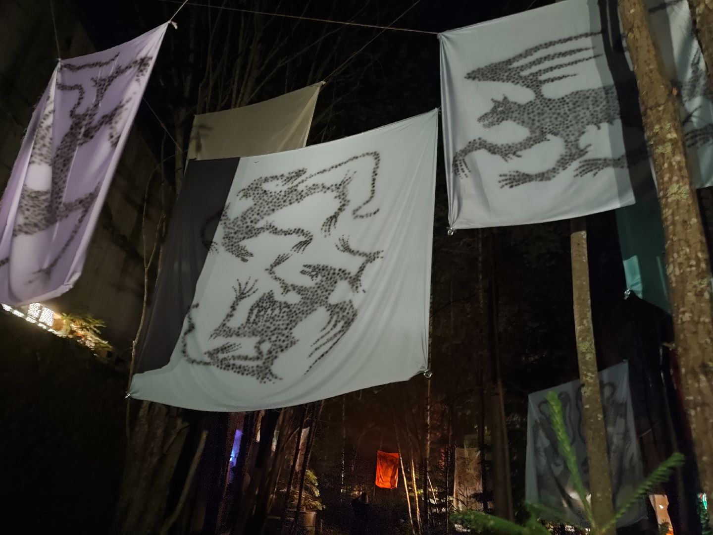 #outline, #талдомский округ, #фестиваль, #электроннаямузыка, #openair