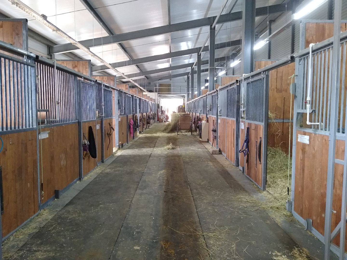 Раменское, спорт, на Раменском ипподроме разместили 160 лошадей