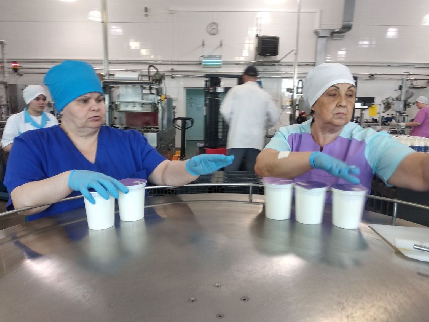 Дмитров, Молокозавод Братья Чебурашкины, Минсельхоз МО