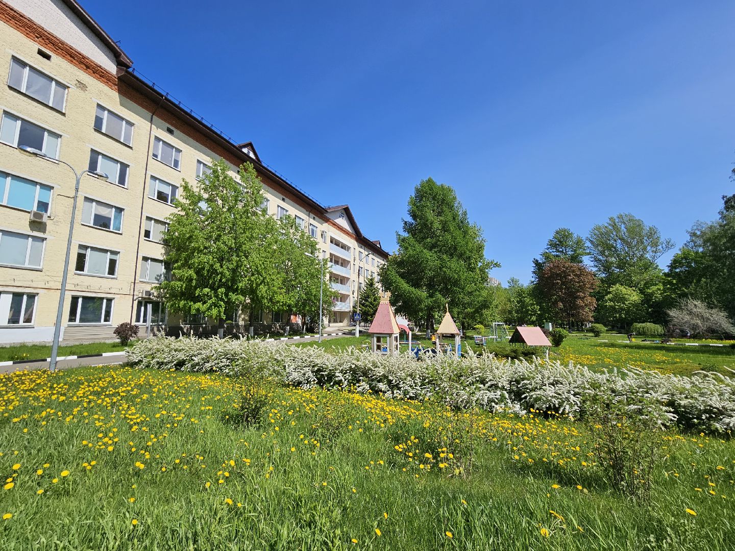 Балашиха, Подмосковье, медицина, студенты, МООД