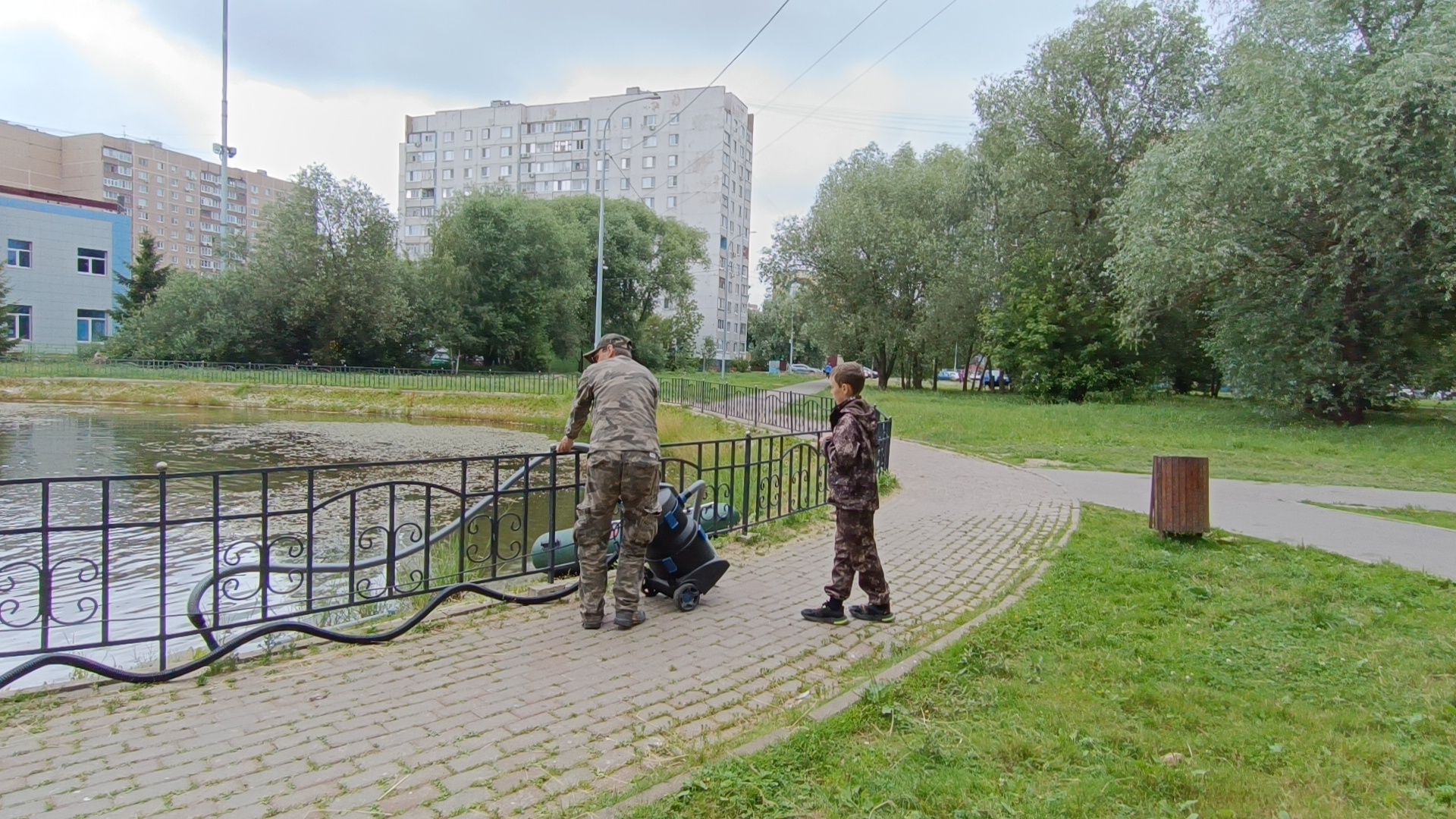 Лобня, пруд, водоросли