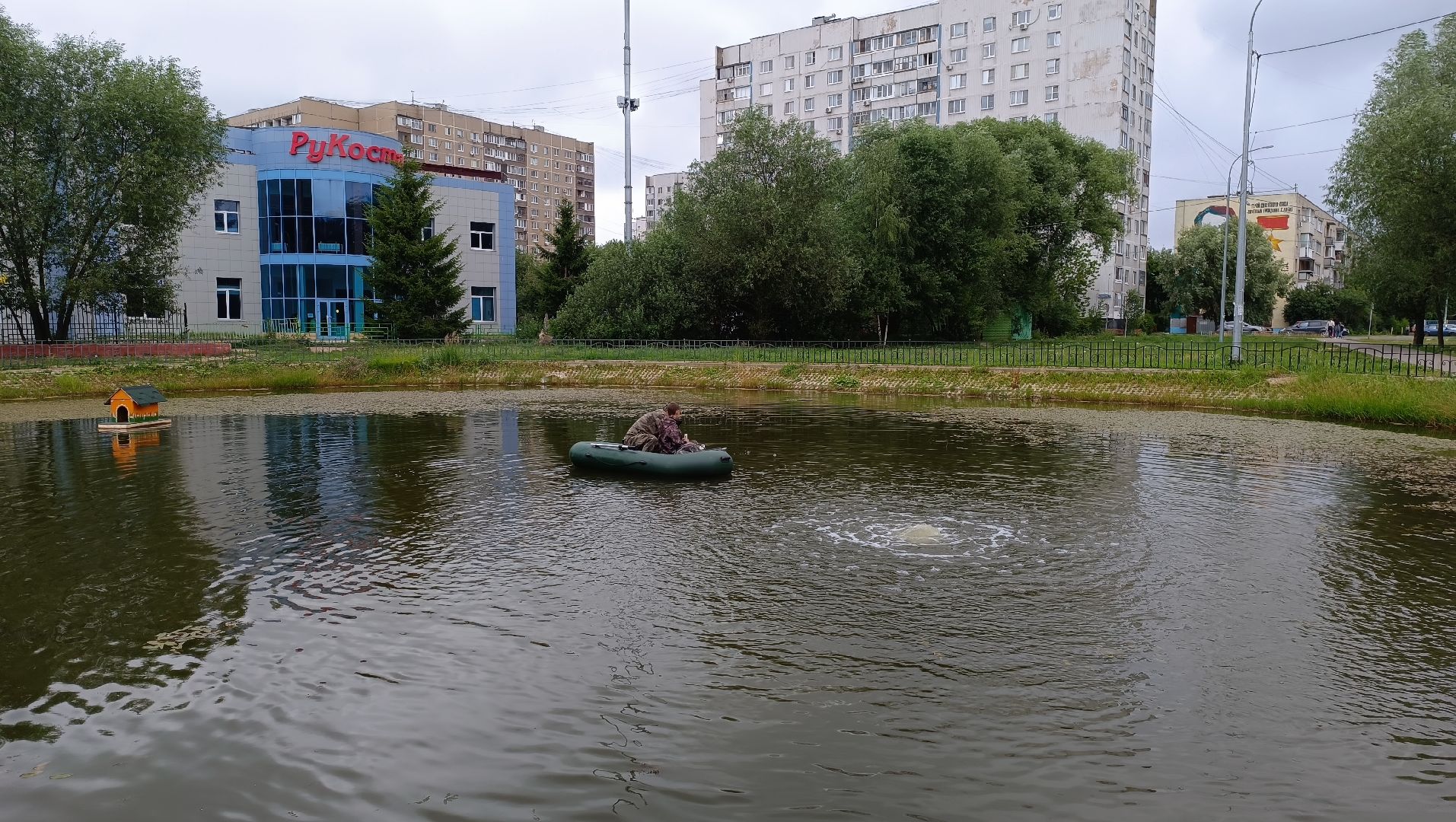 Лобня, пруд, водоросли