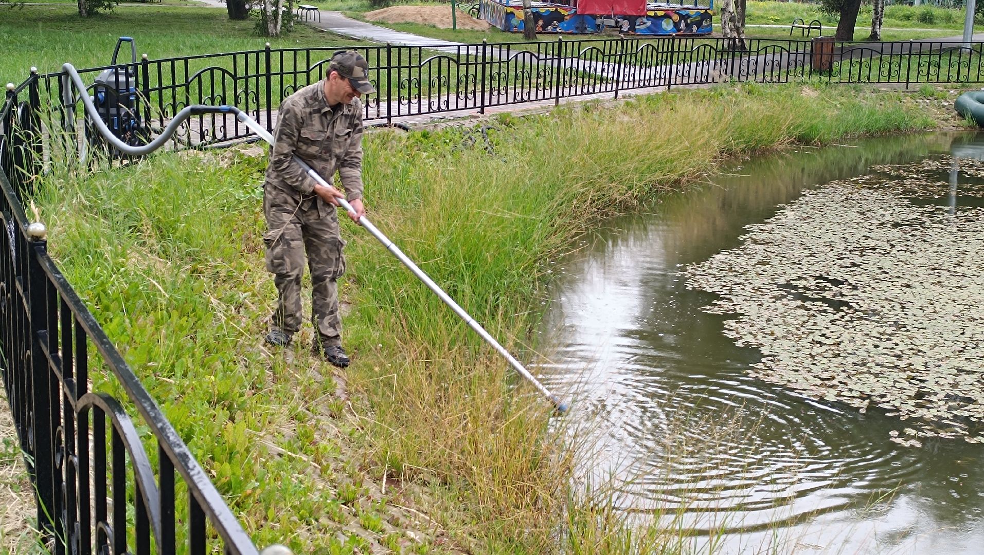 Лобня, пруд, водоросли