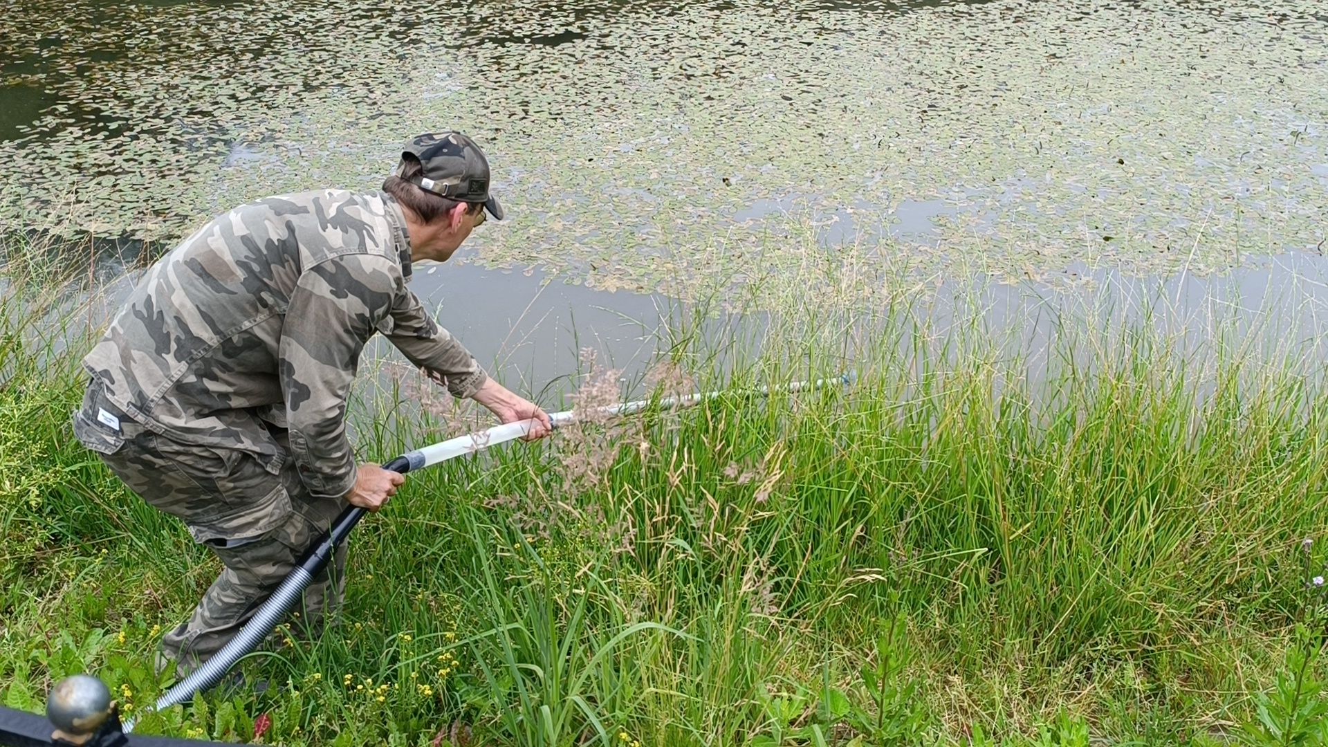 Лобня, пруд, водоросли