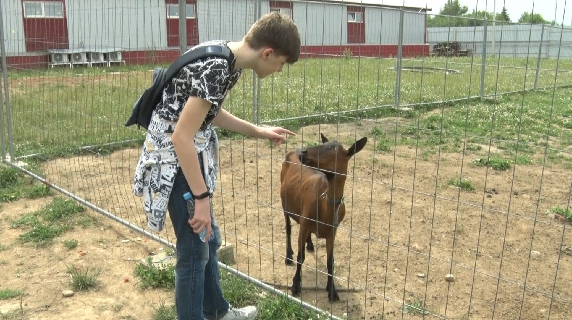 Эко-ферма Калачёво, Домодедово