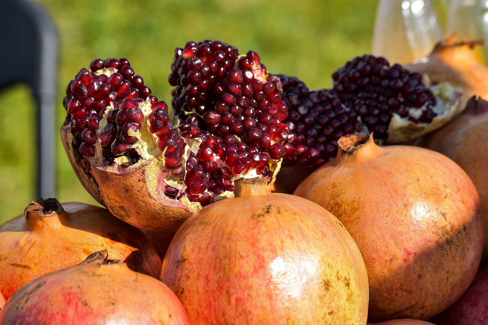 Солнечногорск, праздник, фестиваль, рыба, мясо, раковарня