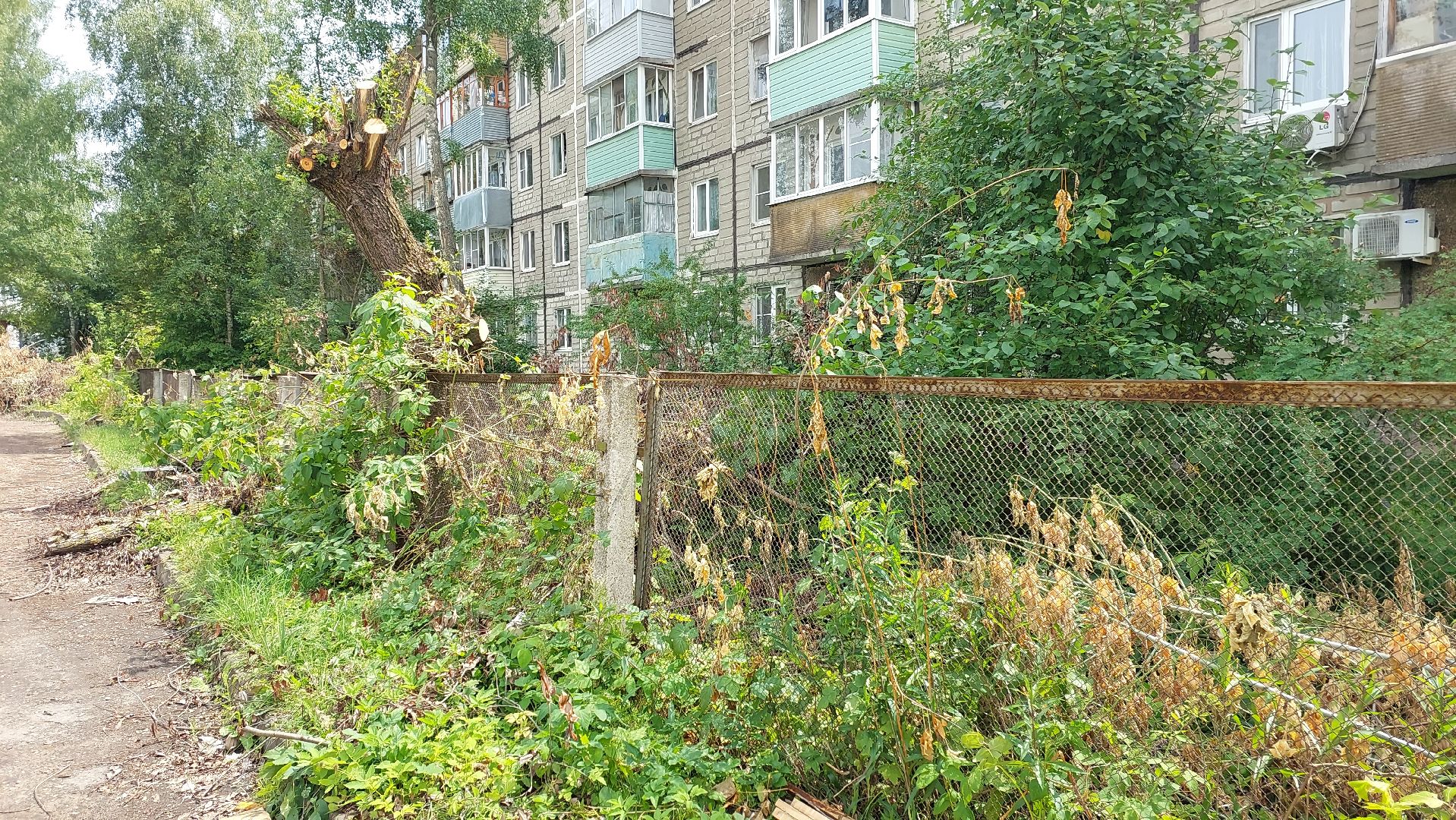 строительство забора, деревья, детский сад, серпухов, звездочка, новый забор,