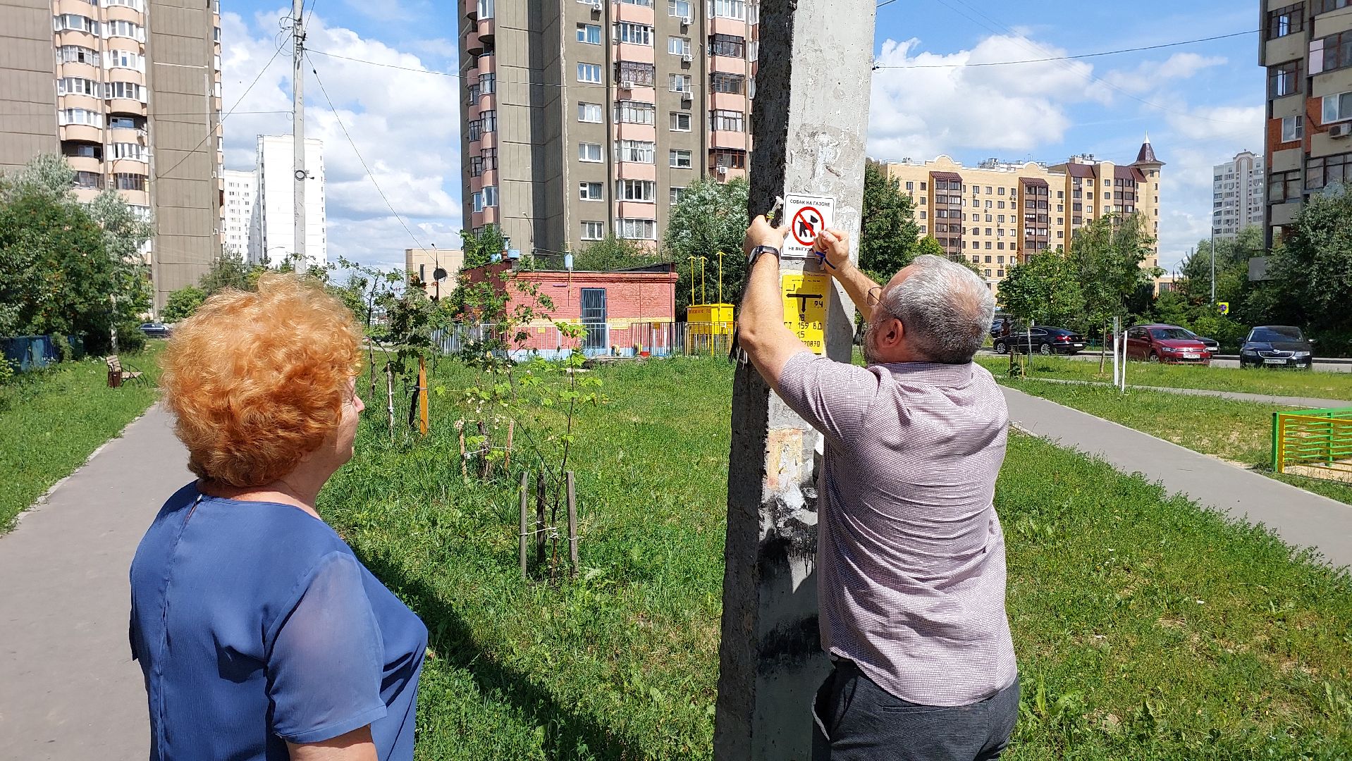 серпухов, двор, детские площадки, собаки, выгул собак, депутат, жители,