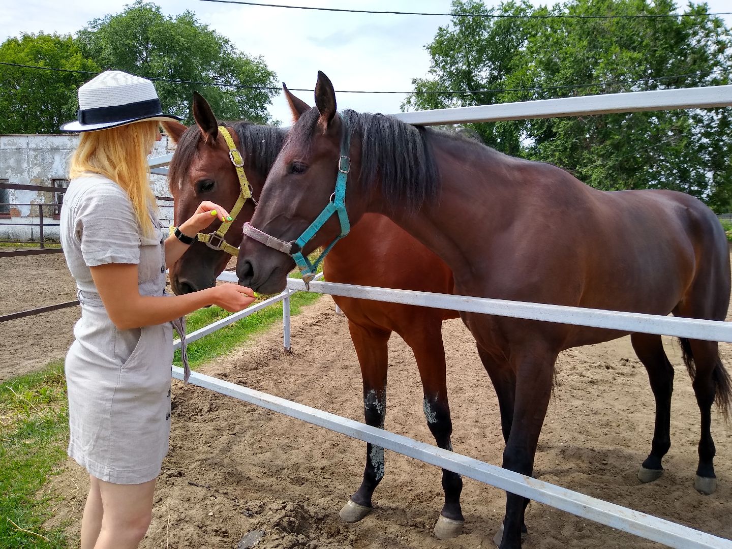 Раменское, спорт, Раменский ипподром, конноспортивная школа, польза иппотерапии