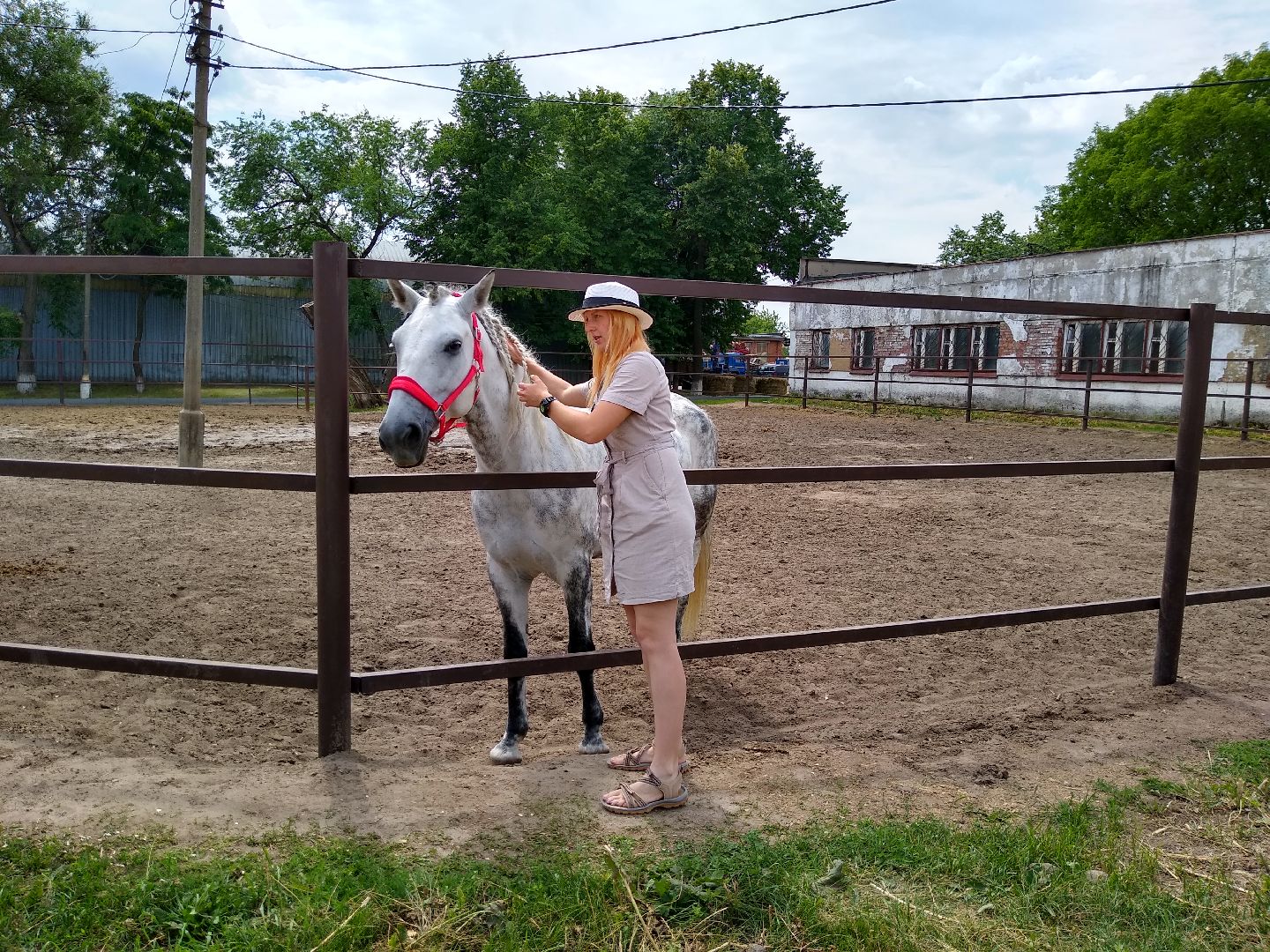 Раменское, спорт, Раменский ипподром, конноспортивная школа, польза иппотерапии