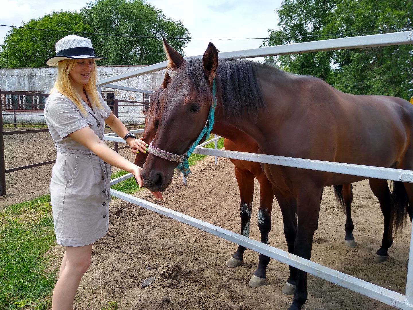 Раменское, спорт, Раменский ипподром, конноспортивная школа, польза иппотерапии